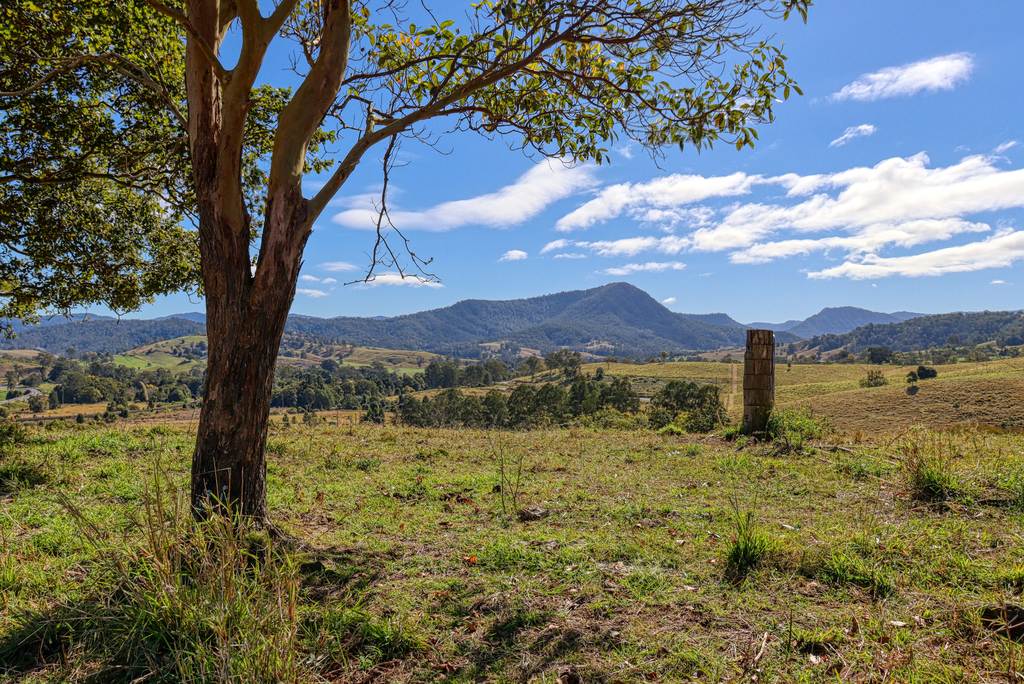 Lot 29&comma; 46 Lynches Creek Road, Wiangaree NSW 2474