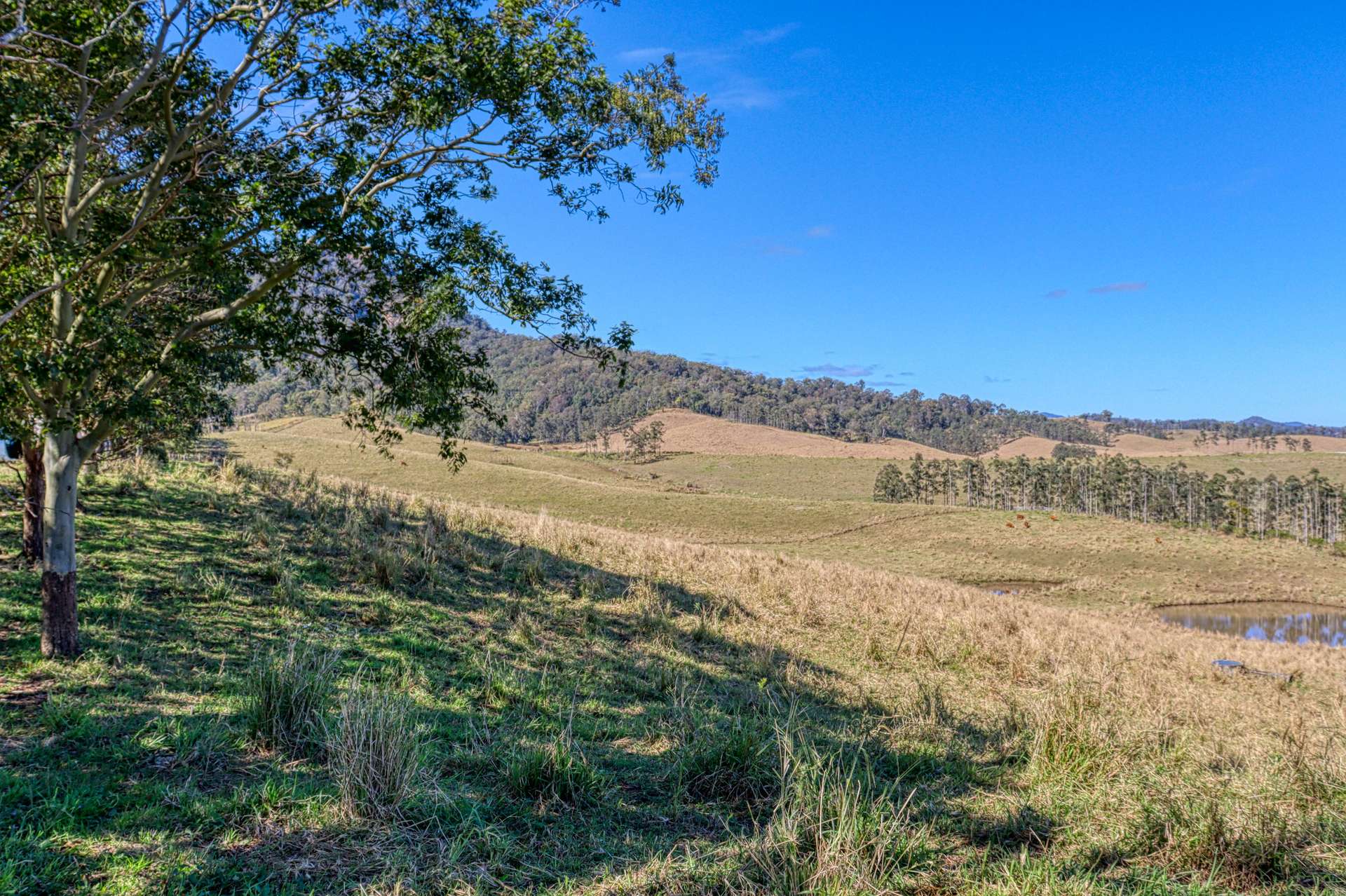 Lot 29, 46 Lynches Creek Road, Wiangaree For Sale by Farmbuy.com - image 9