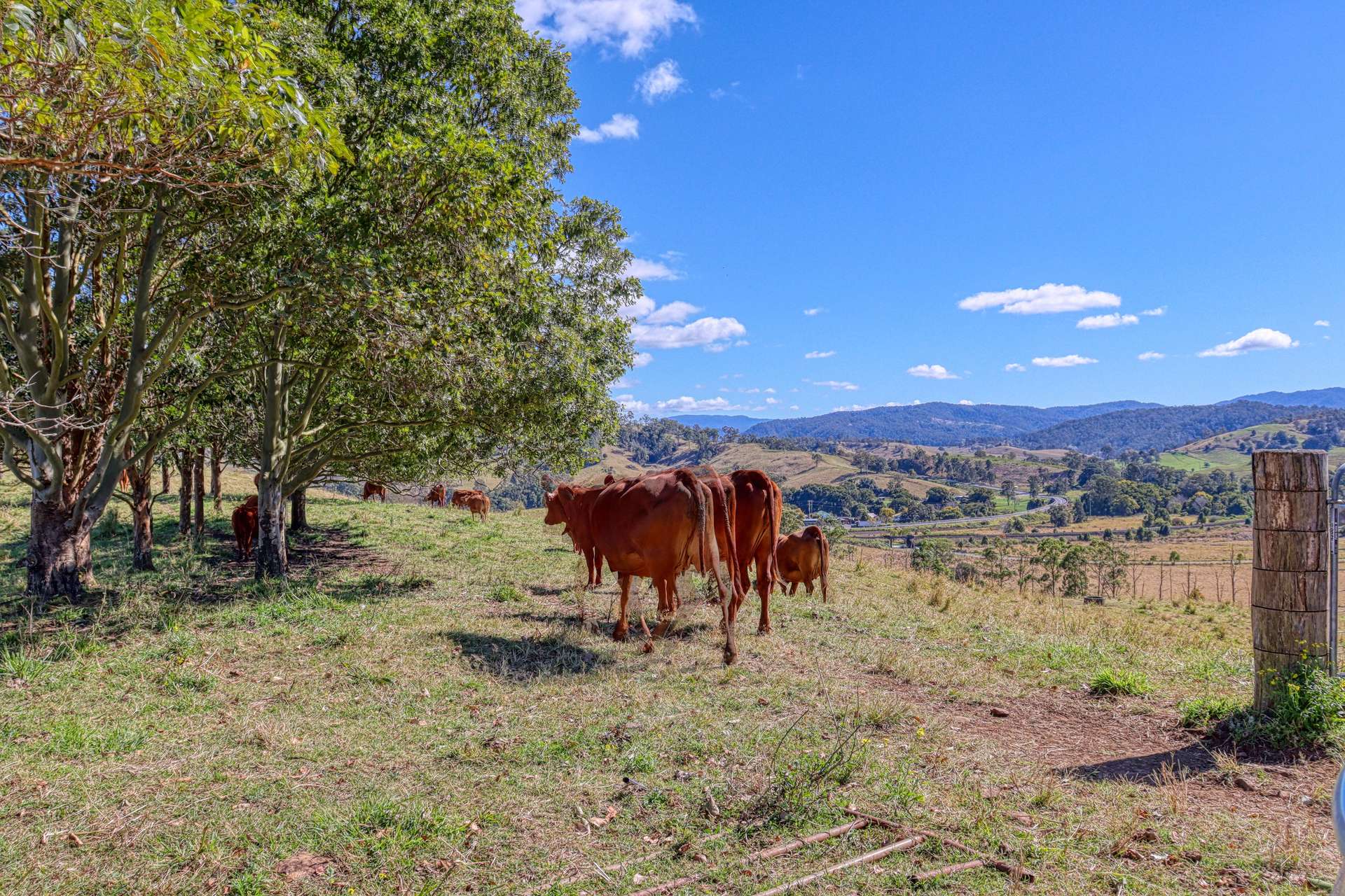 Lot 29, 46 Lynches Creek Road, Wiangaree For Sale by Farmbuy.com - image 10