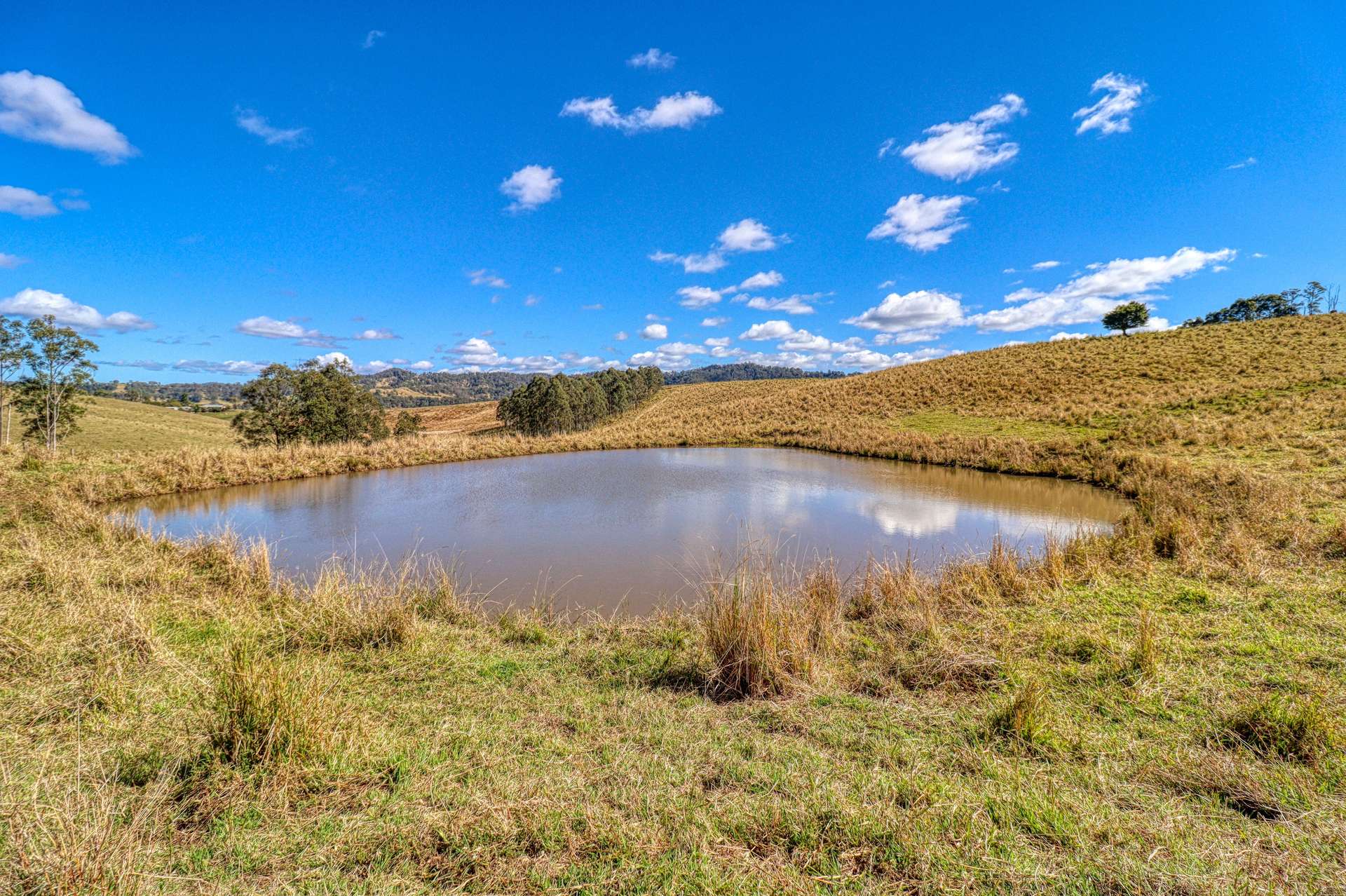 Lot 29, 46 Lynches Creek Road, Wiangaree For Sale by Farmbuy.com - image 4