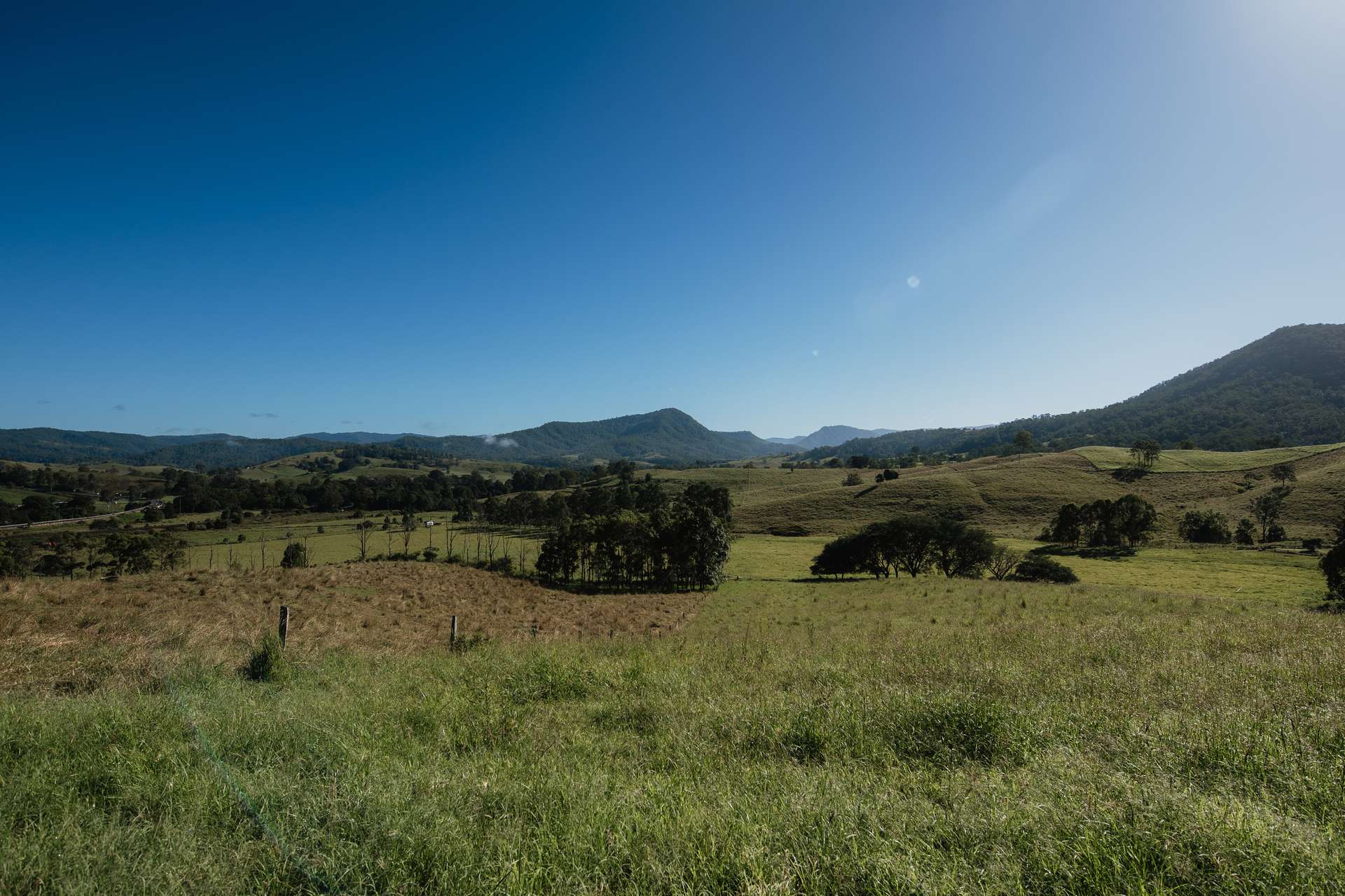 Lot 29, 46 Lynches Creek Road, Wiangaree For Sale by Farmbuy.com - image 5