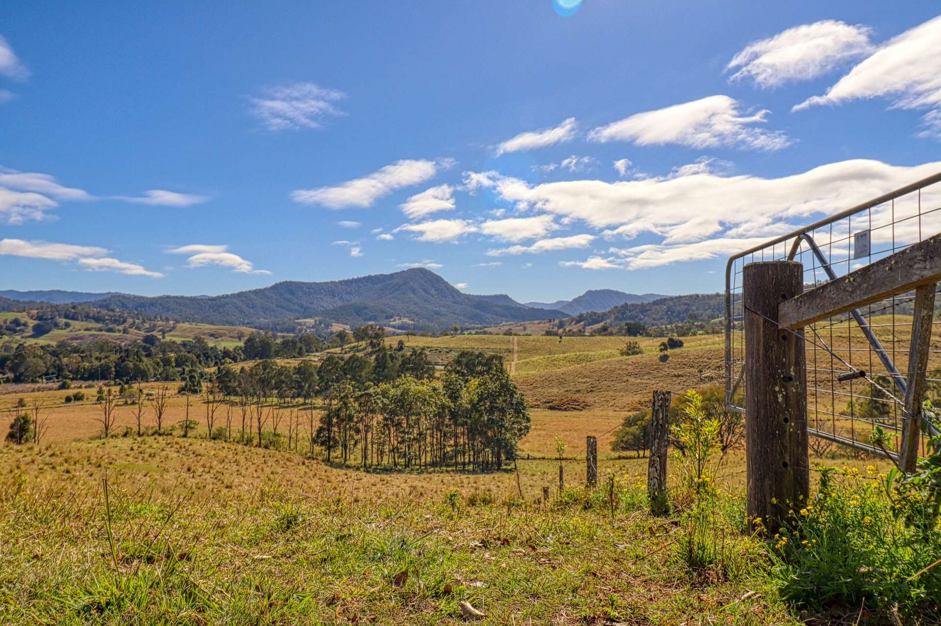 Lot 29, 46 Lynches Creek Road, Wiangaree For Sale by Farmbuy.com - image 3