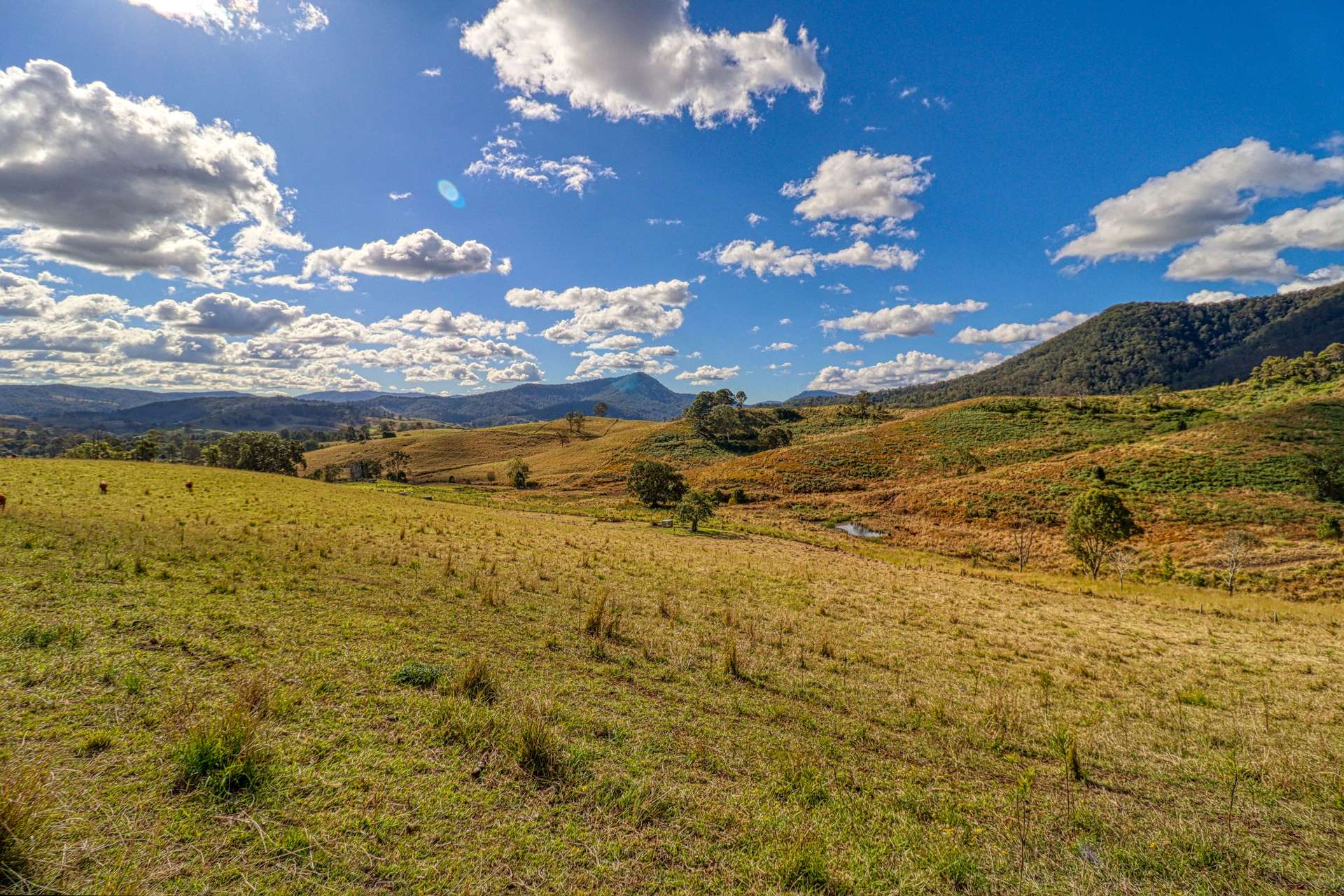 Lot 29, 46 Lynches Creek Road, Wiangaree For Sale by Farmbuy.com - image 7