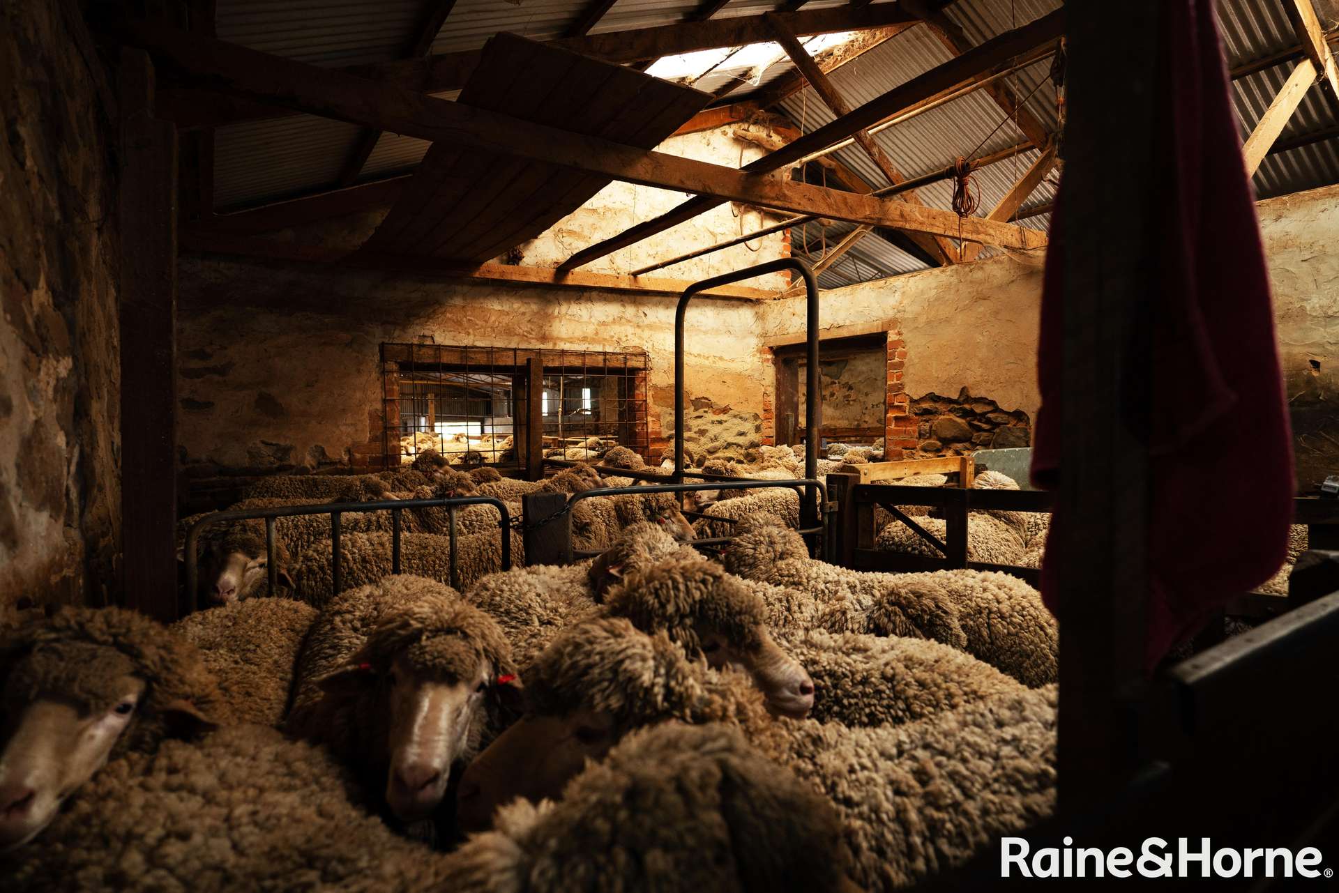 173 Dalveen Road, Woodchester Sold by Farmbuy.com - image 25