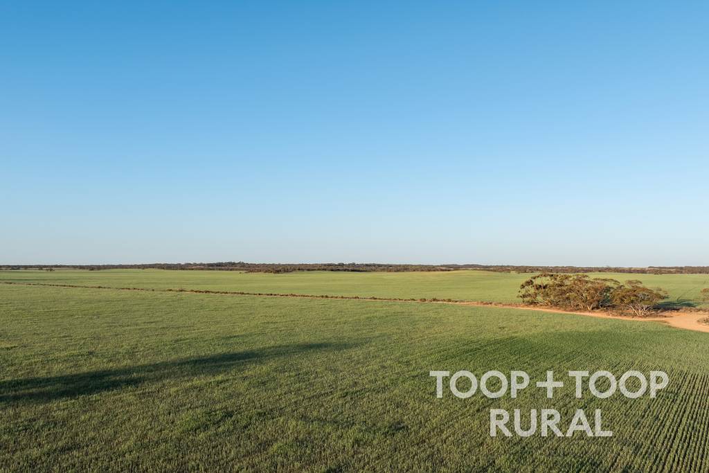 Lot 499, Murbko Road, Murbko SA 5320