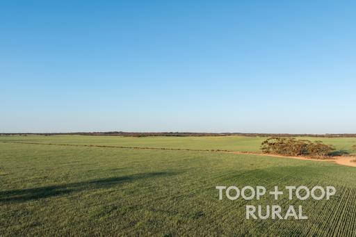 Lot 499&comma; Murbko Road, Murbko SA 5320