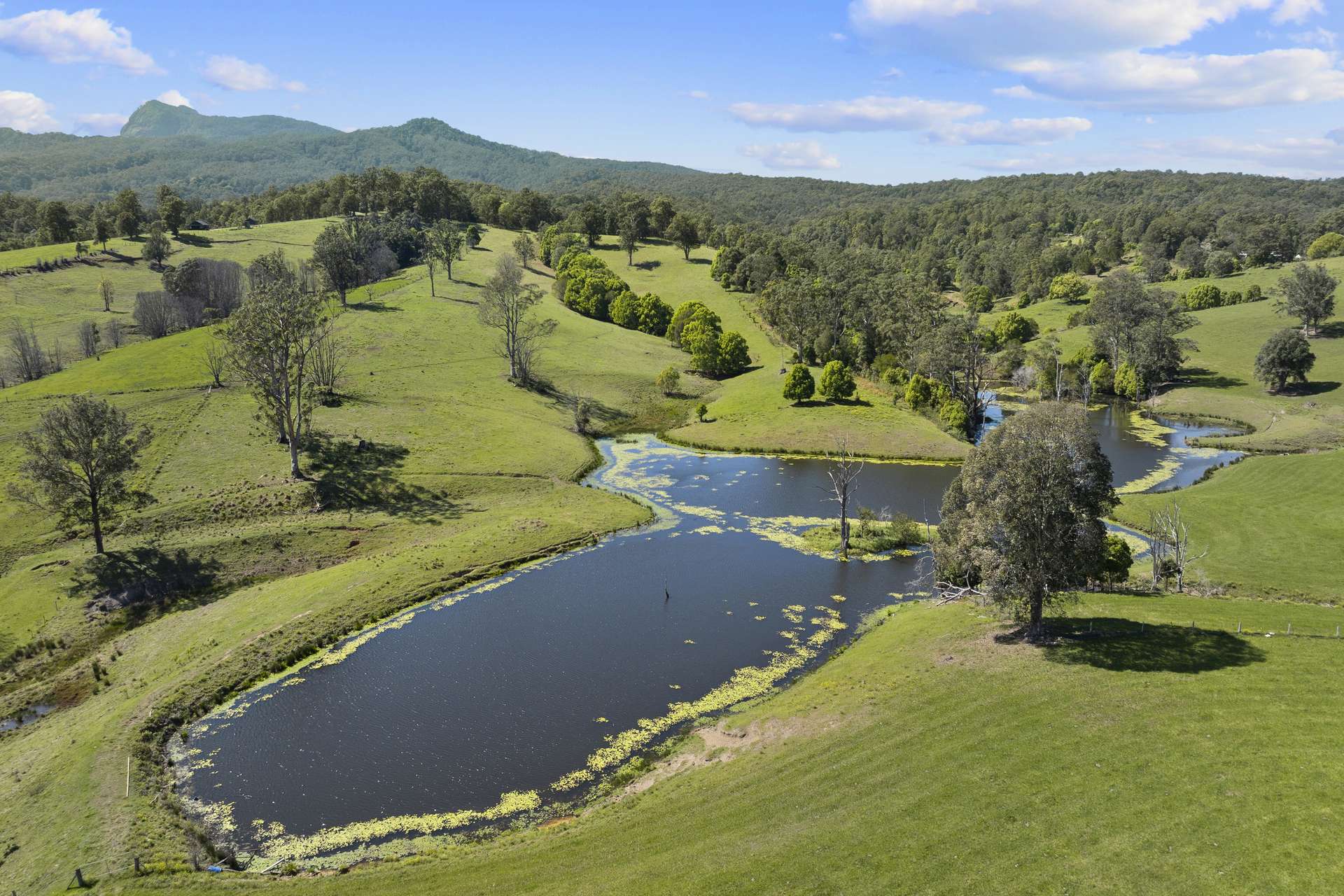 703 Brays Creek Road, Brays Creek For Sale by Farmbuy.com - image 5