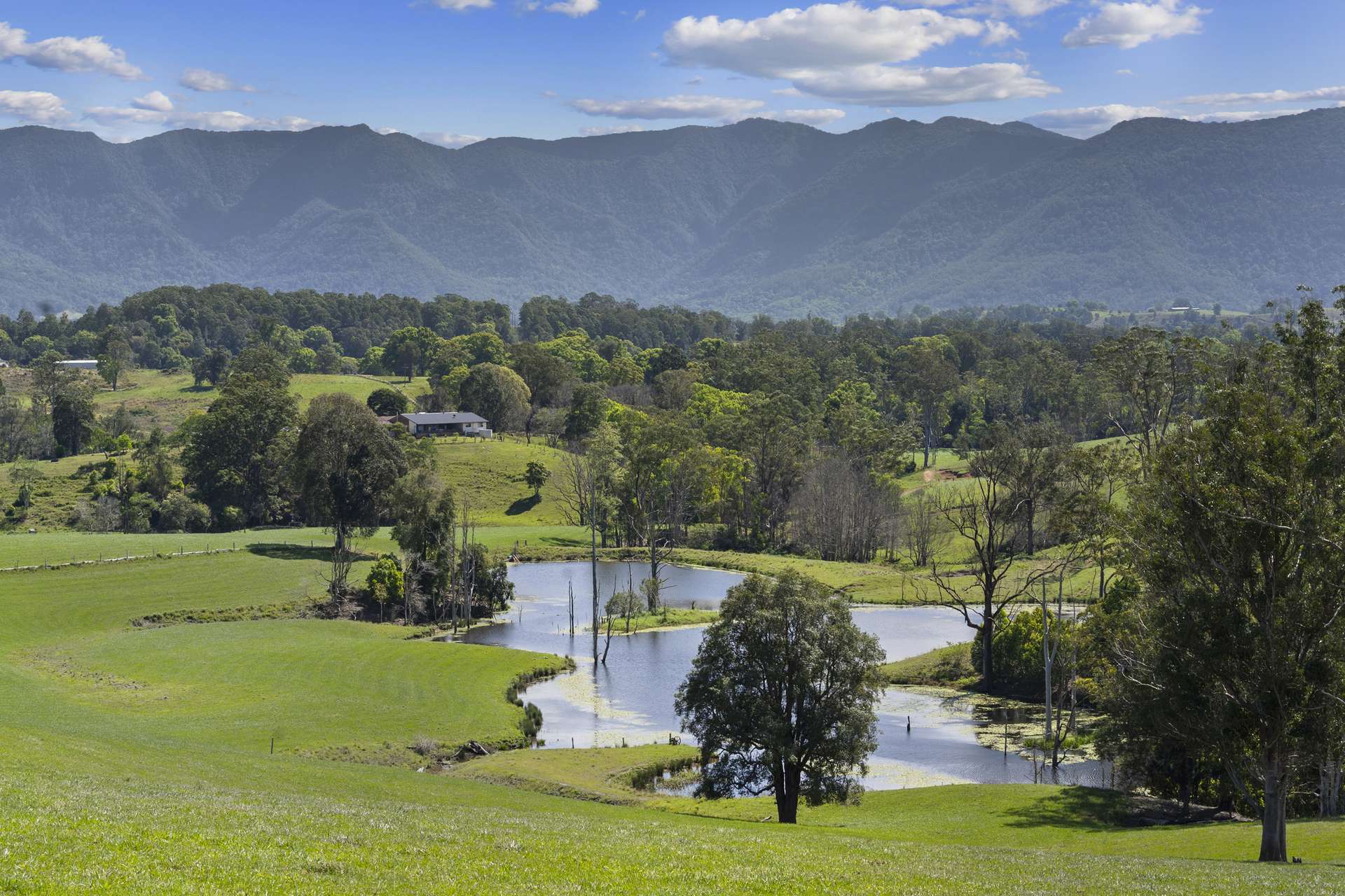 703 Brays Creek Road, Brays Creek For Sale by Farmbuy.com - image 2