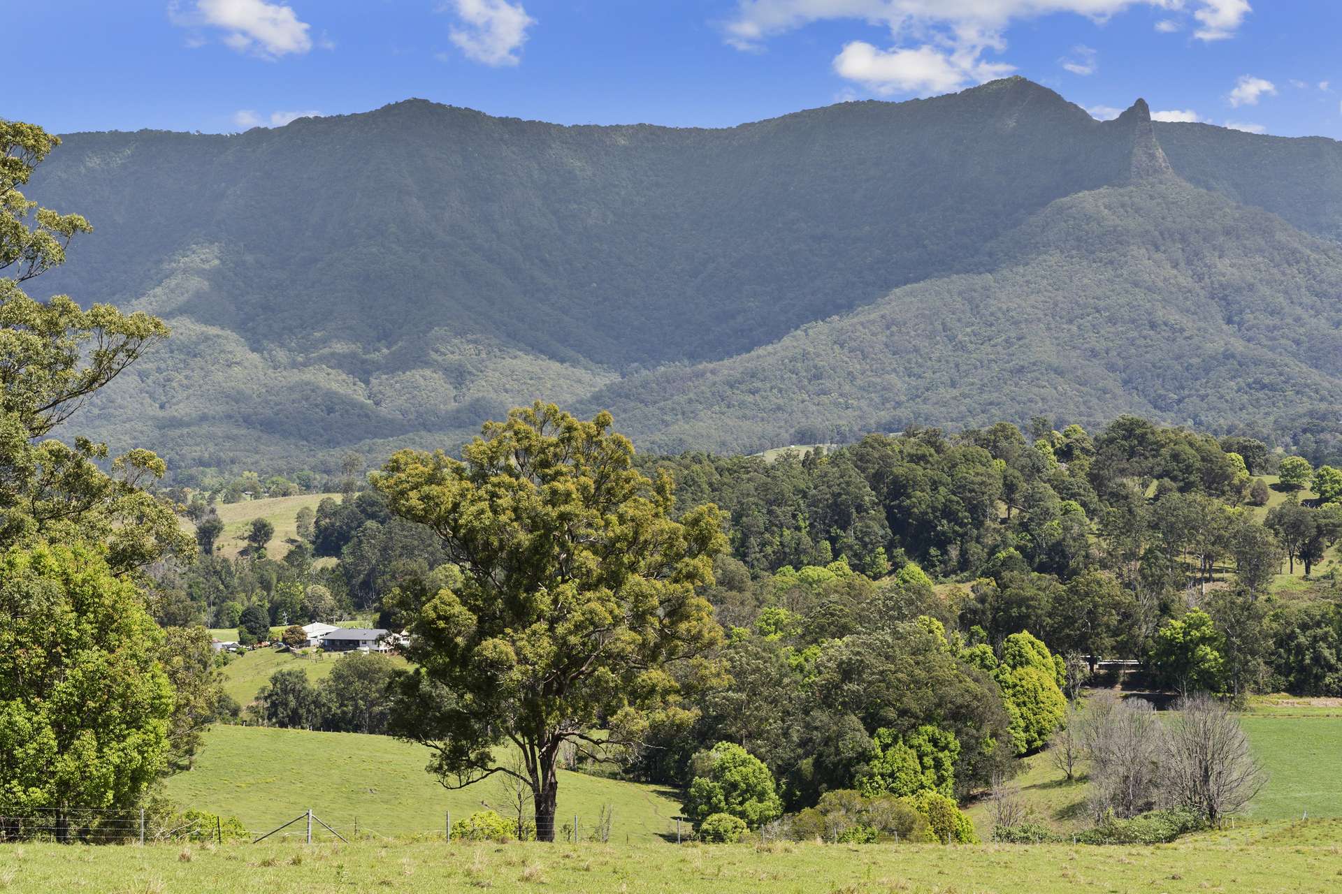 703 Brays Creek Road, Brays Creek For Sale by Farmbuy.com - image 19
