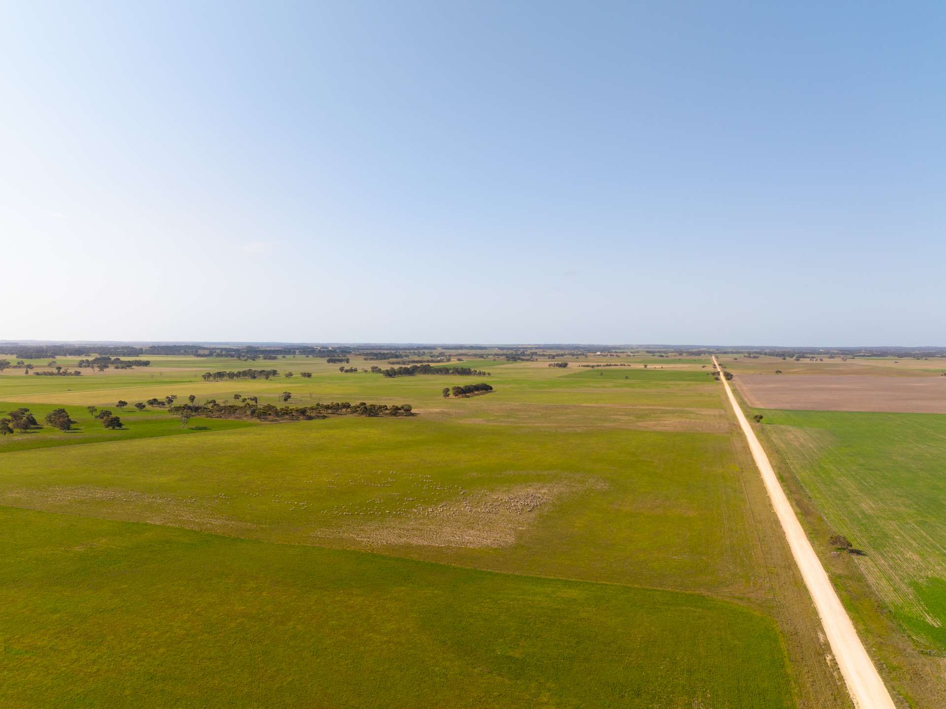 10116 Dukes Highway, Tintinara For Sale by Farmbuy.com - image 17