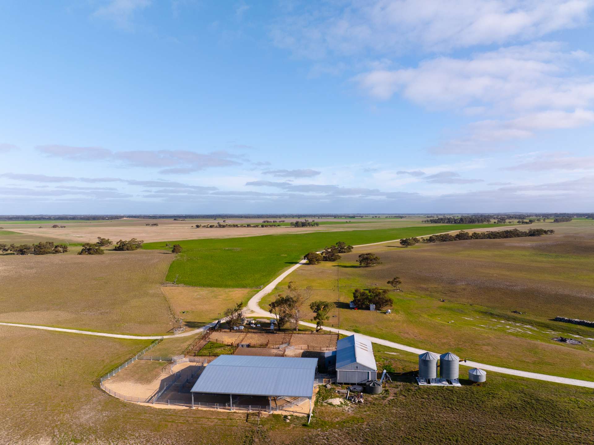10116 Dukes Highway, Tintinara For Sale by Farmbuy.com - image 9