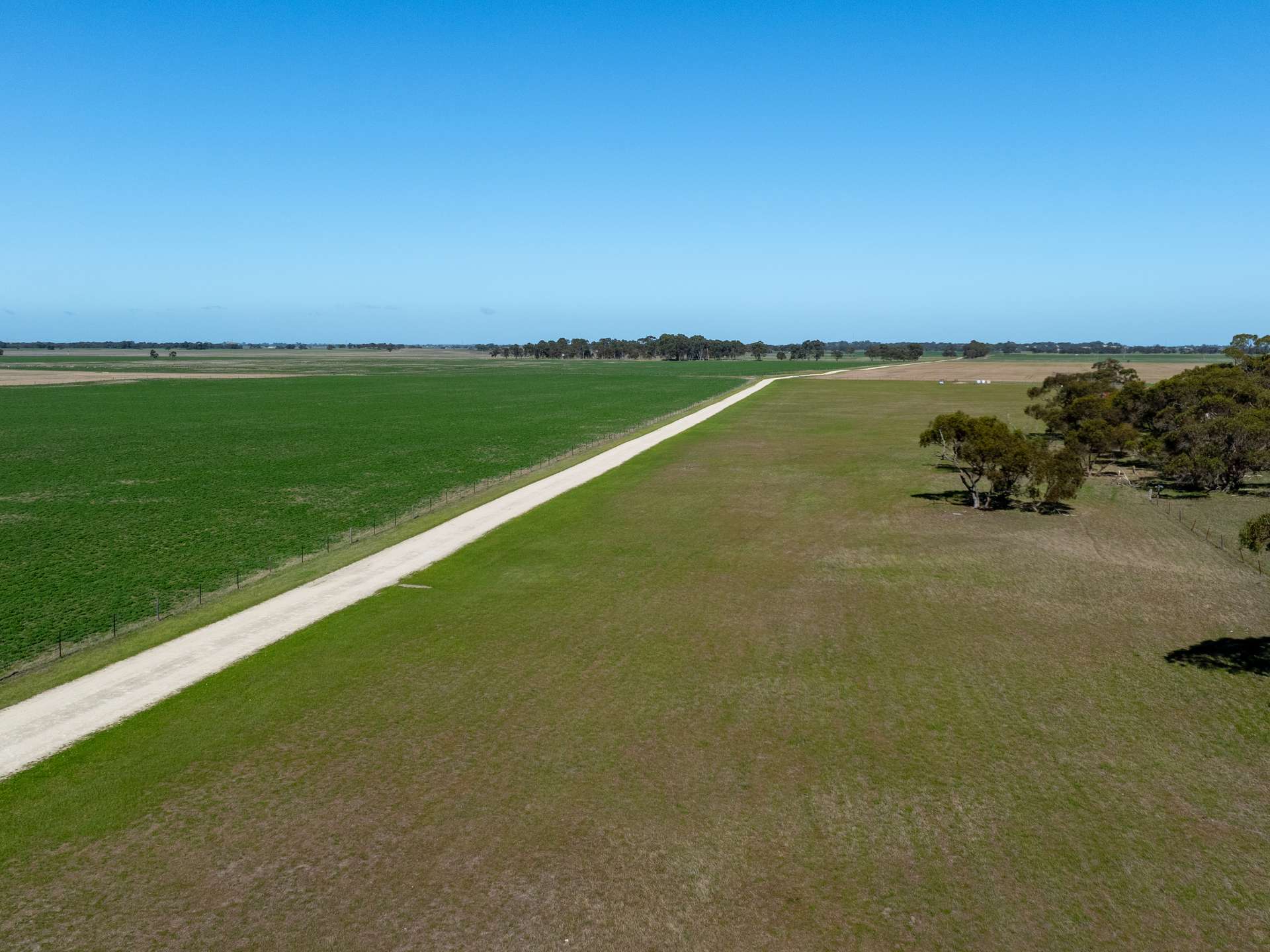 10116 Dukes Highway, Tintinara For Sale by Farmbuy.com - image 3