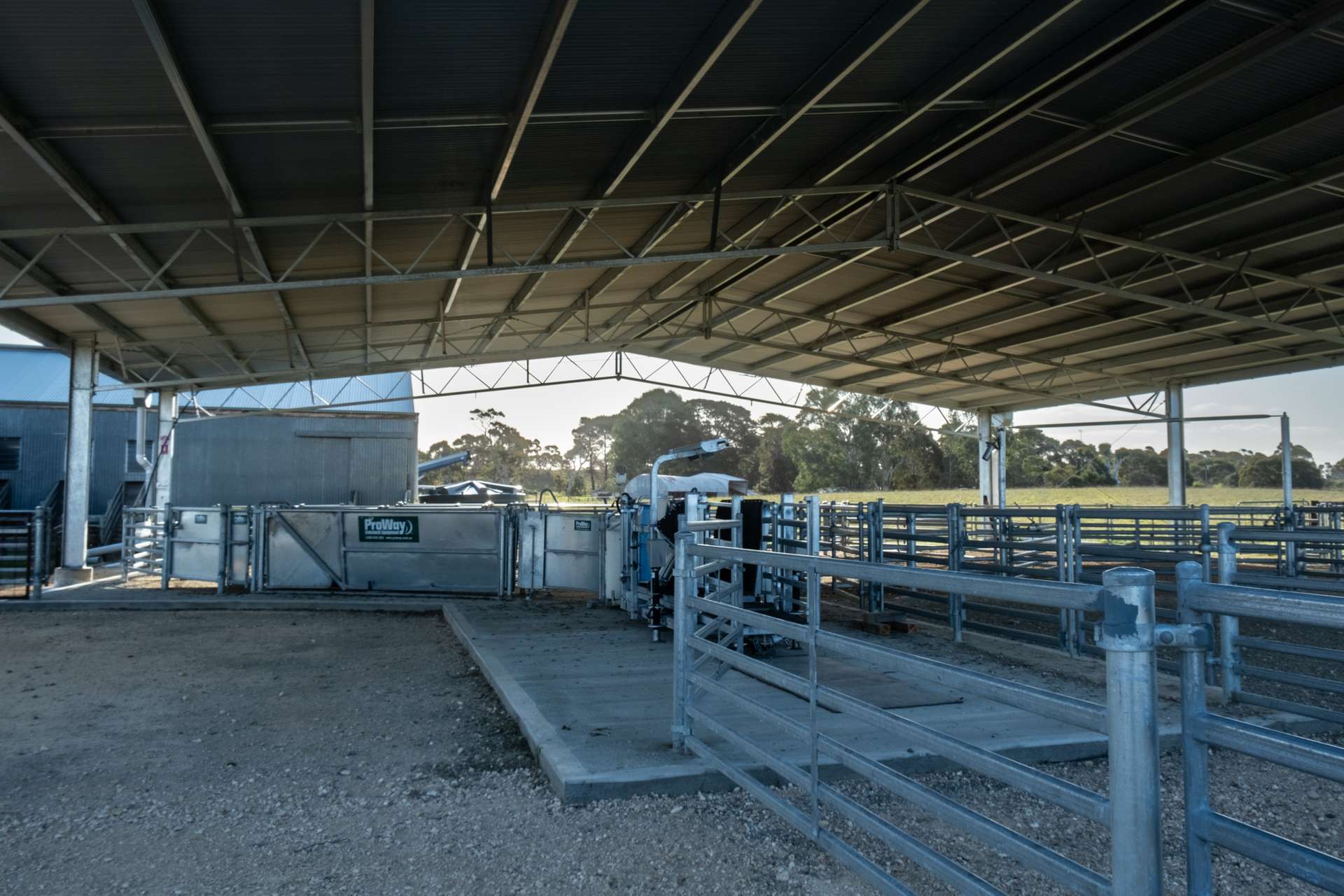 10116 Dukes Highway, Tintinara For Sale by Farmbuy.com - image 13