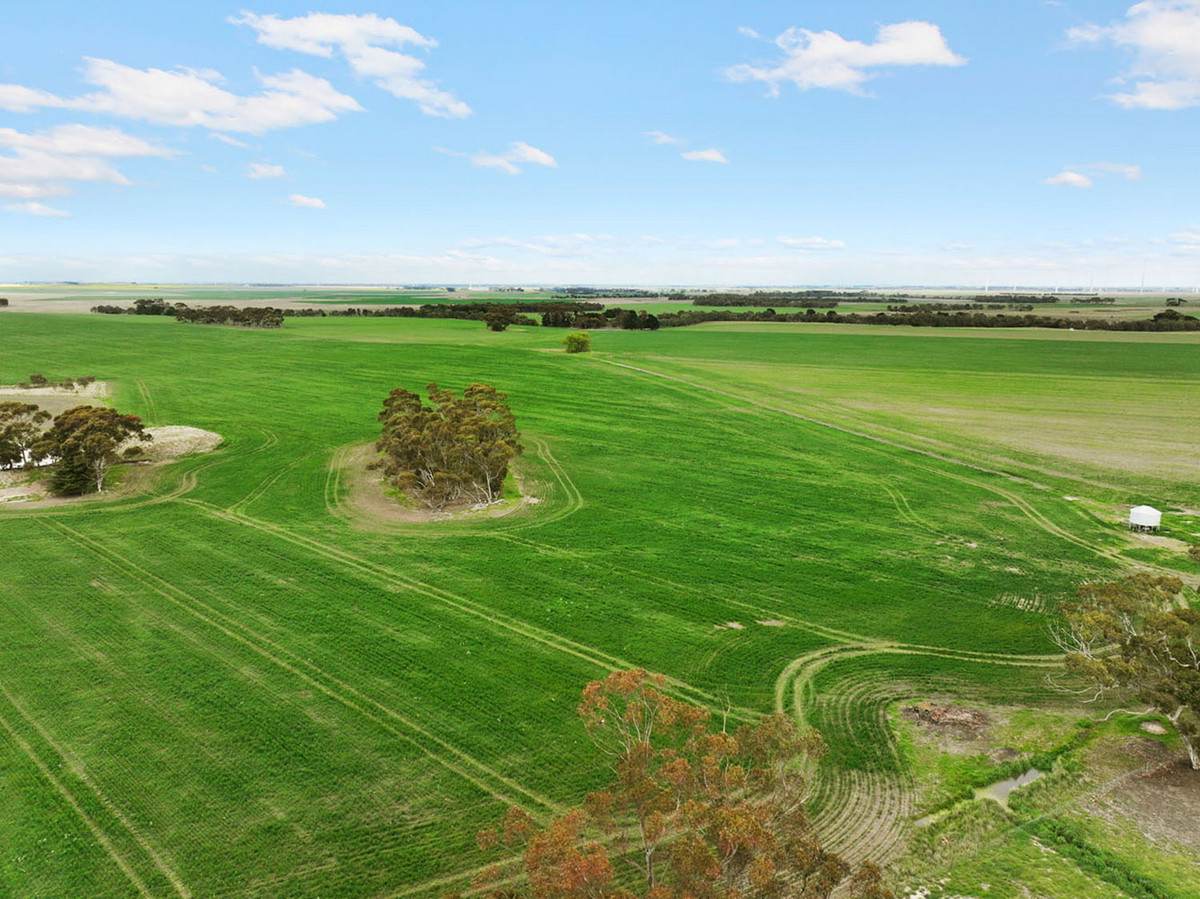 1047 Rokewood-Shelford Road, Shelford Sold by Farmbuy.com - image 3