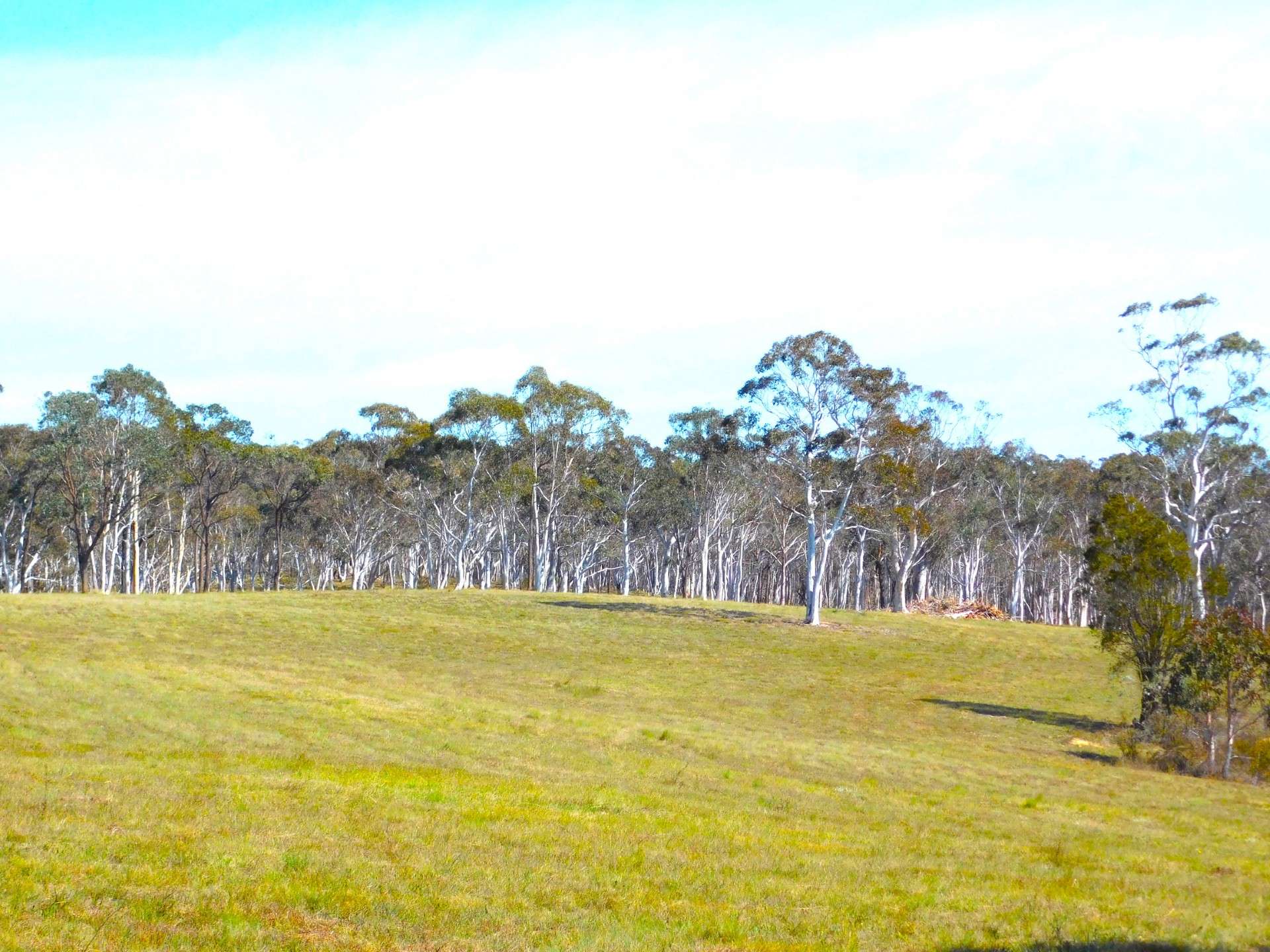 146 Winfarthing Rd, Marulan For Sale by Farmbuy.com - image 19