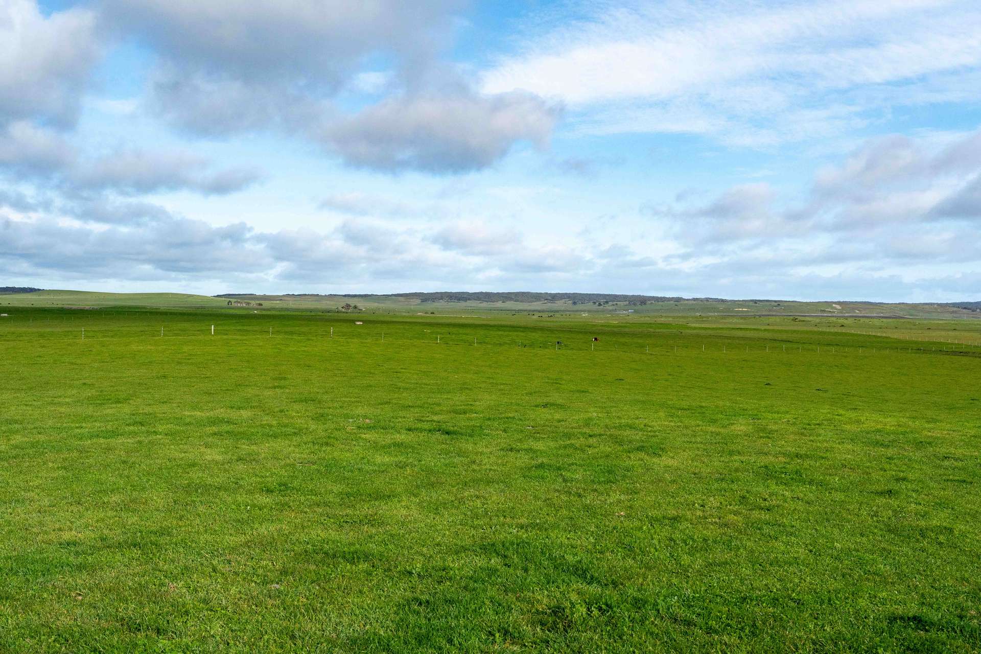 Rushy Lagoon For Sale by Farmbuy.com - image 1