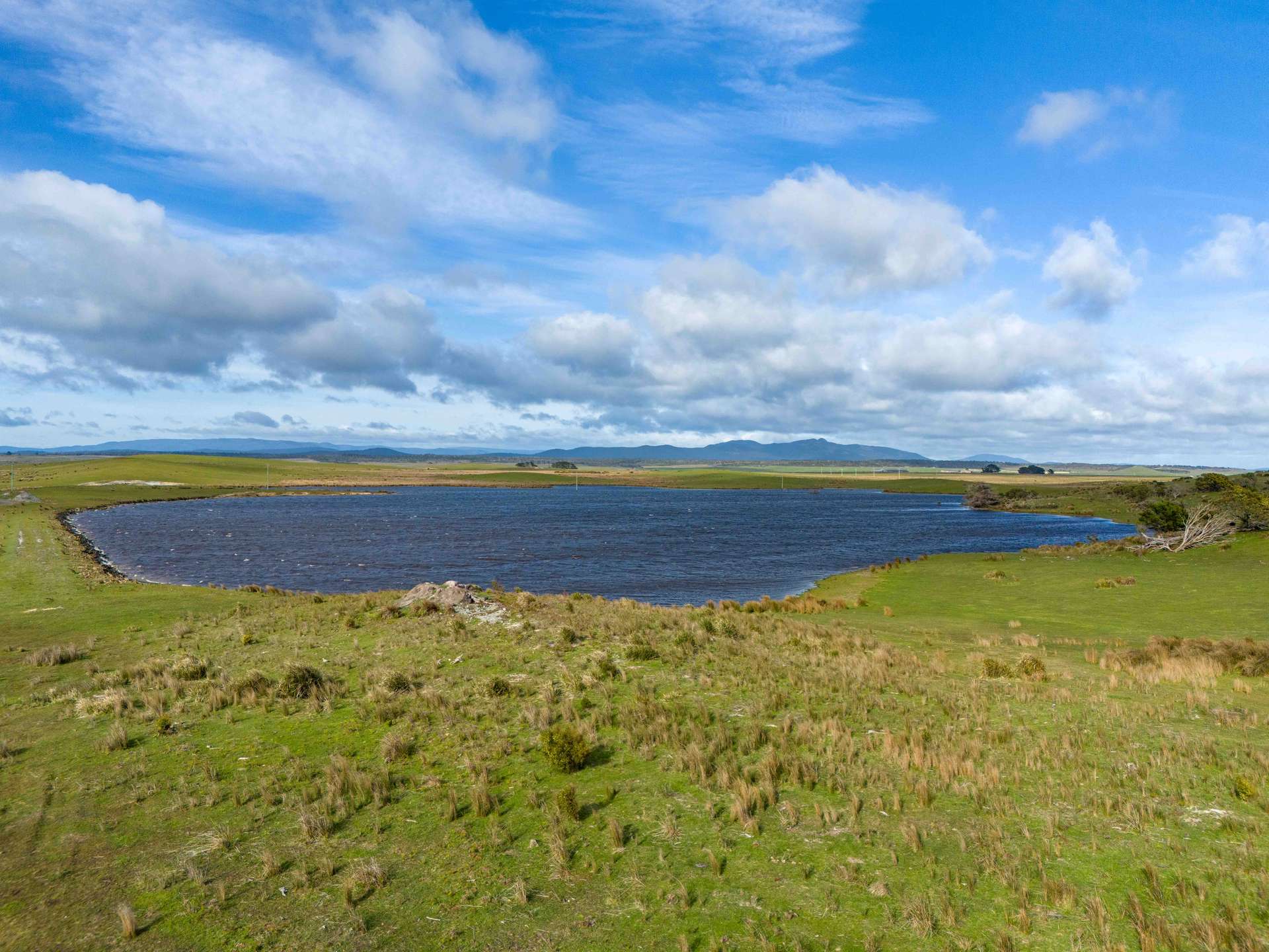 Rushy Lagoon For Sale by Farmbuy.com - image 5