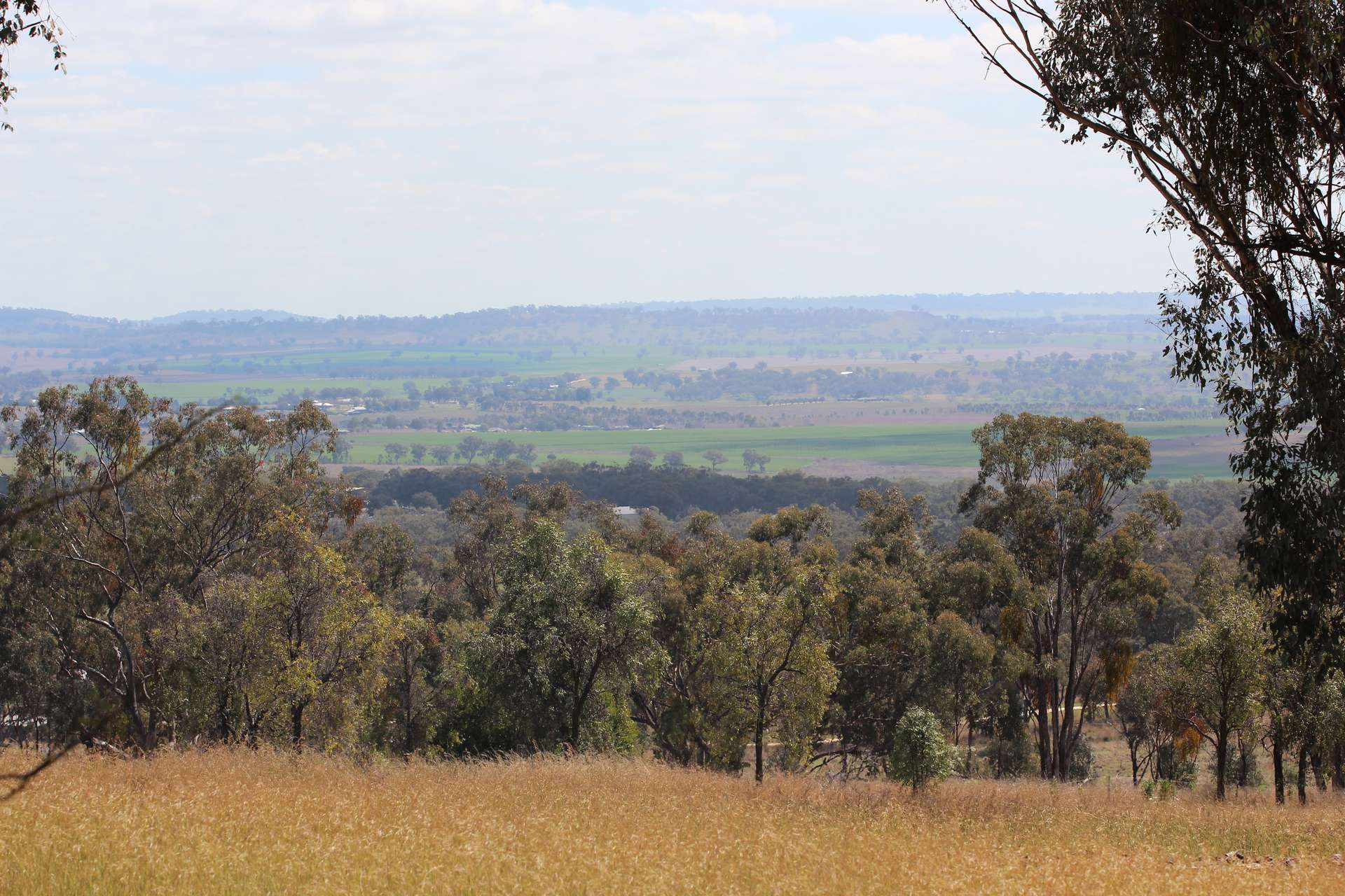 372 Swanbrook Rd, Inverell For Sale by Farmbuy.com - image 20