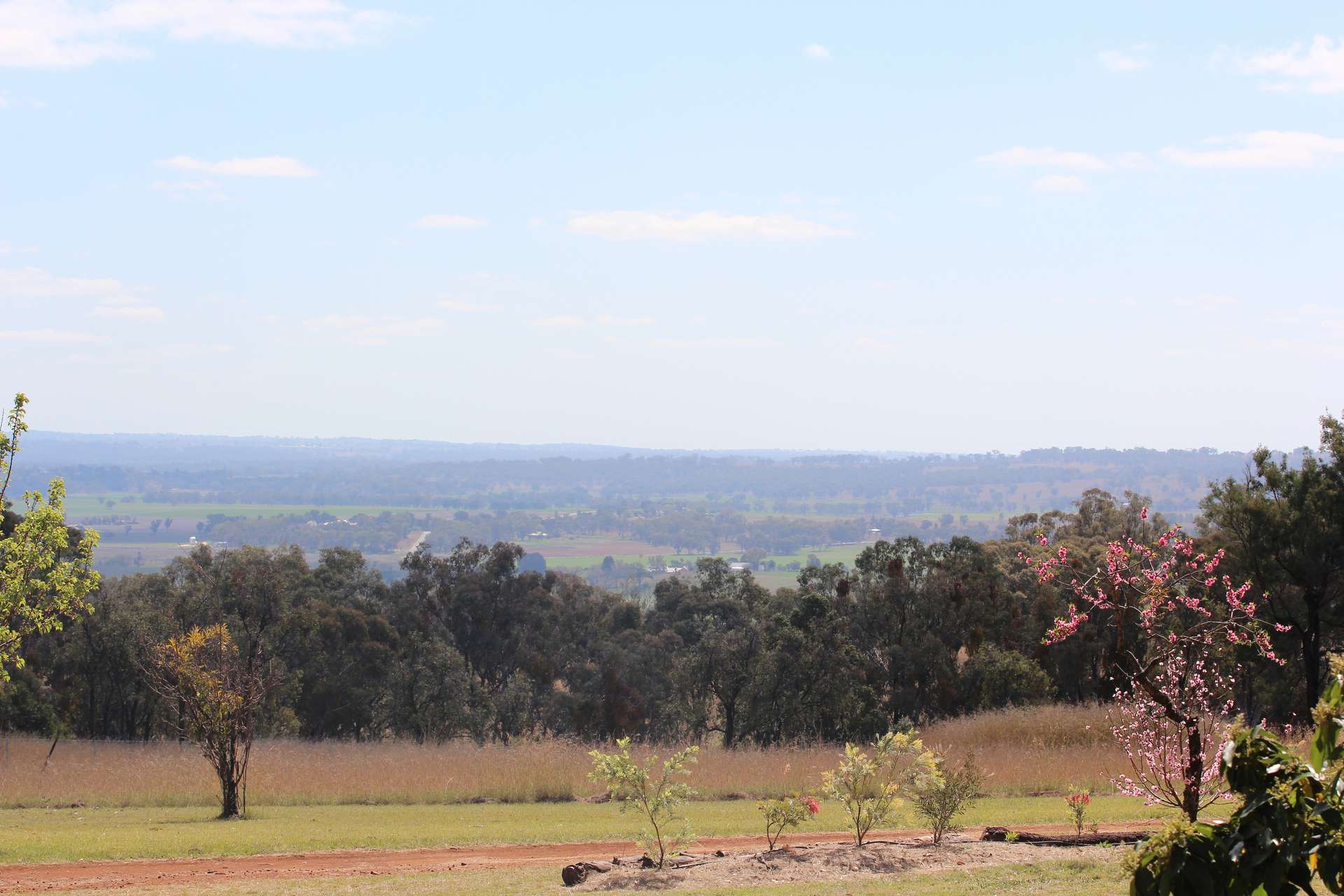 372 Swanbrook Rd, Inverell For Sale by Farmbuy.com - image 22
