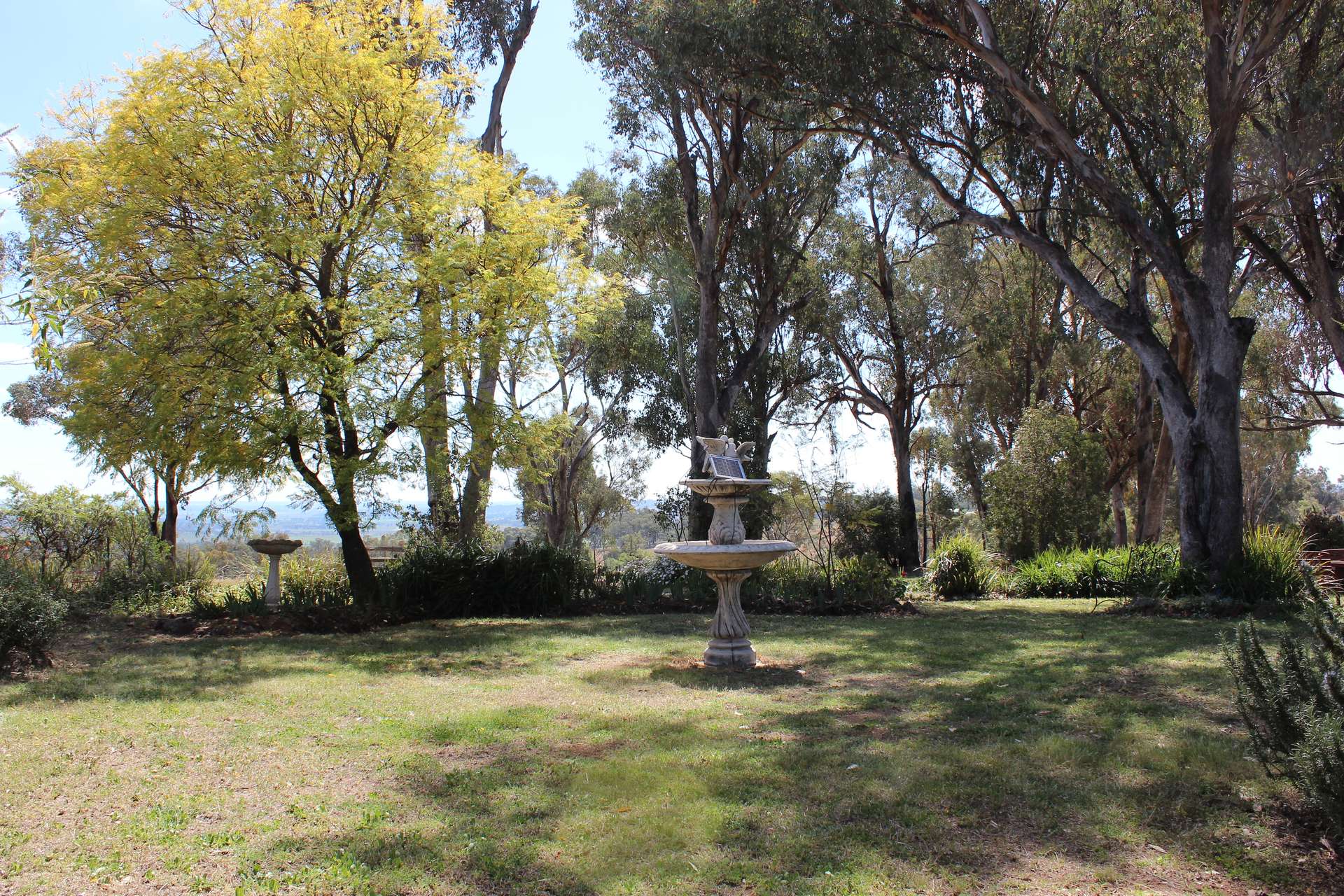 372 Swanbrook Rd, Inverell For Sale by Farmbuy.com - image 29
