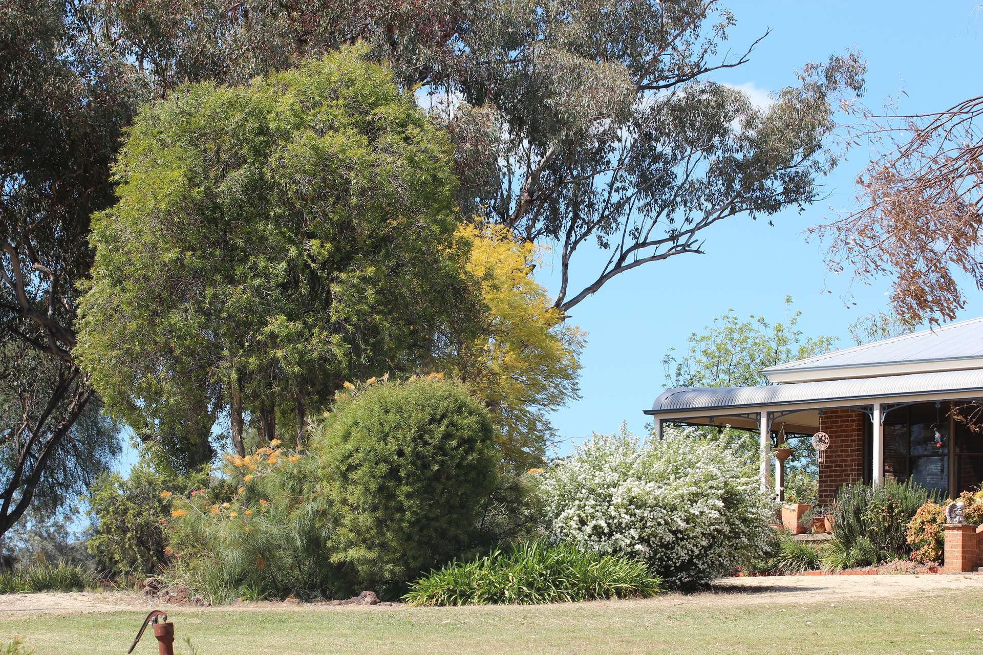 372 Swanbrook Rd, Inverell For Sale by Farmbuy.com - image 21