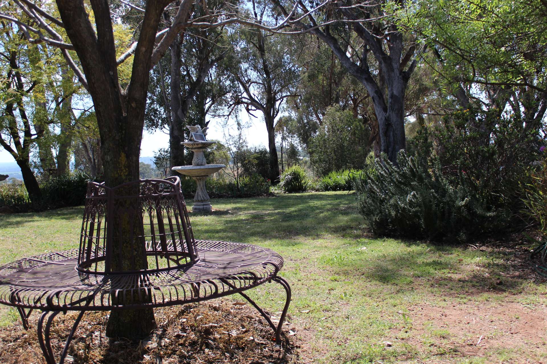 372 Swanbrook Rd, Inverell For Sale by Farmbuy.com - image 27