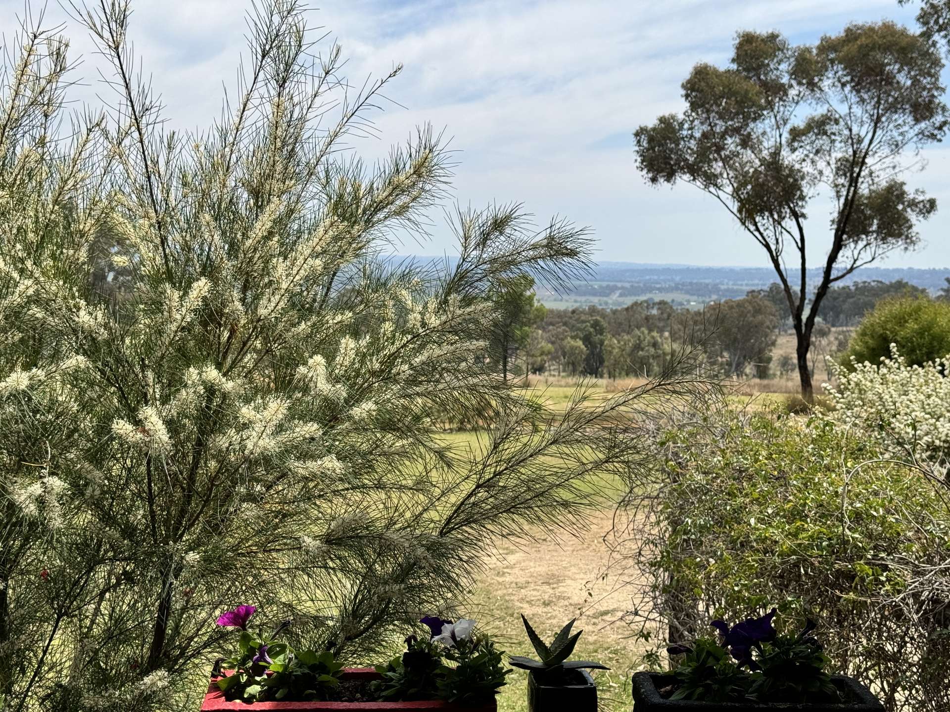 372 Swanbrook Rd, Inverell For Sale by Farmbuy.com - image 19