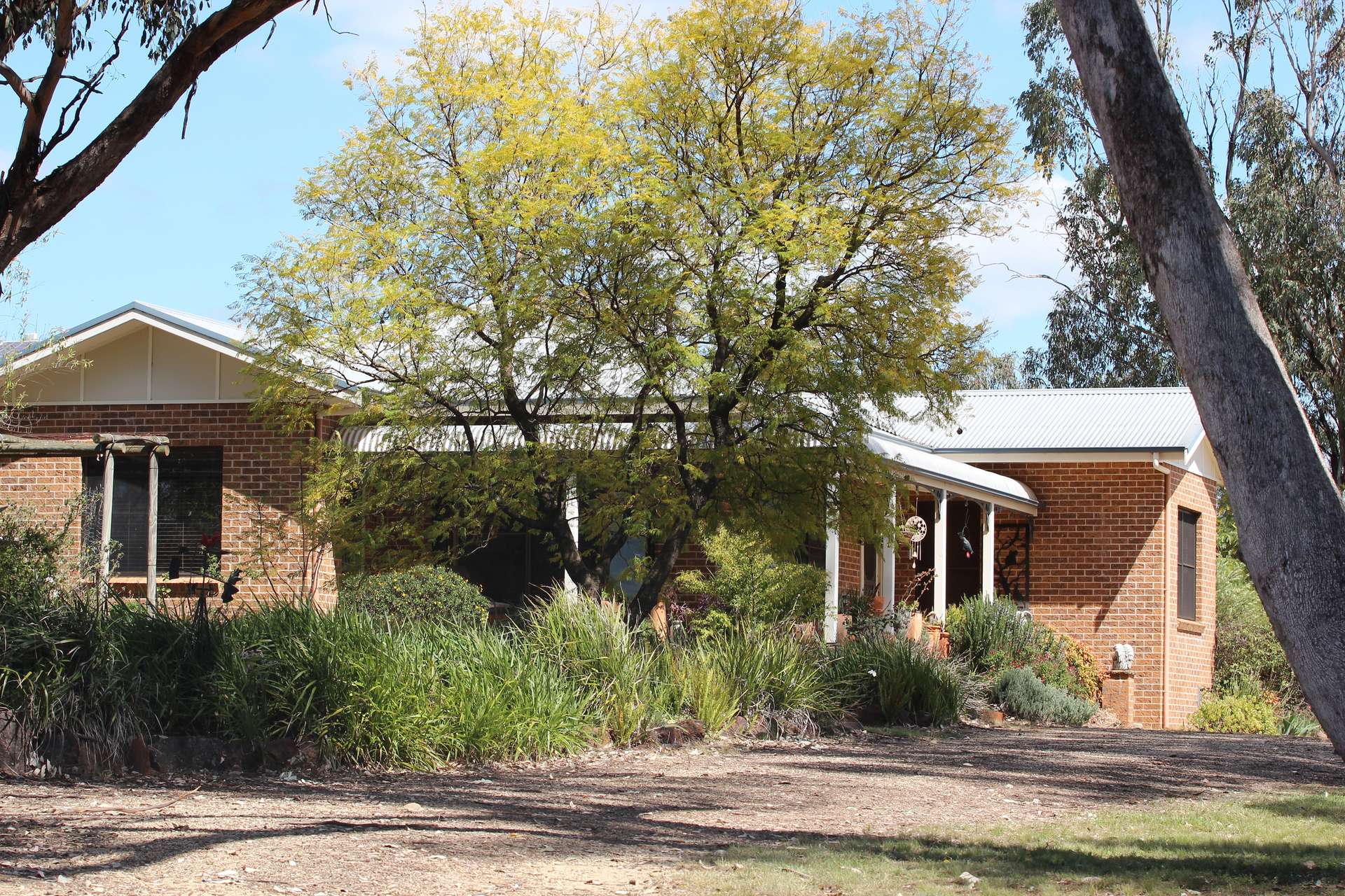 372 Swanbrook Rd, Inverell For Sale by Farmbuy.com - image 1