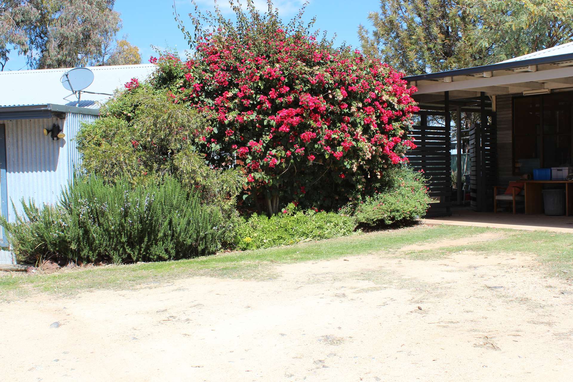 372 Swanbrook Rd, Inverell For Sale by Farmbuy.com - image 23