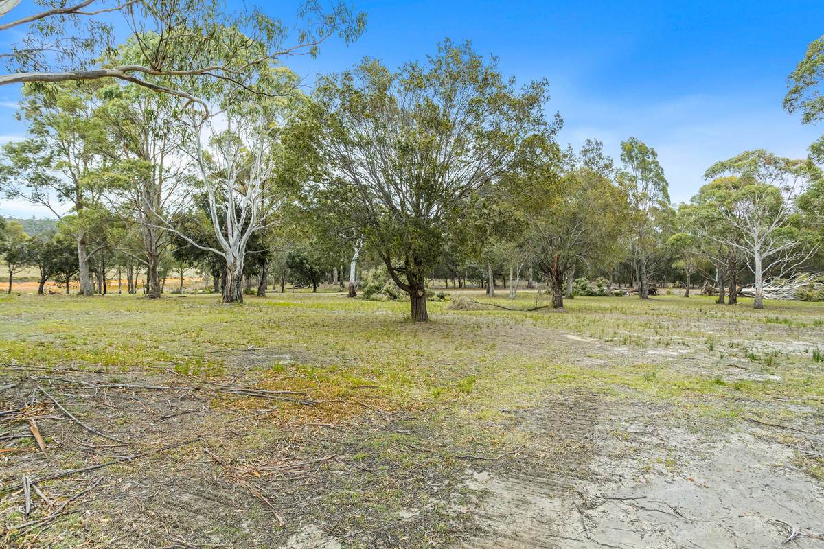 204 Rheban Road, Orford For Sale by Farmbuy.com - image 6