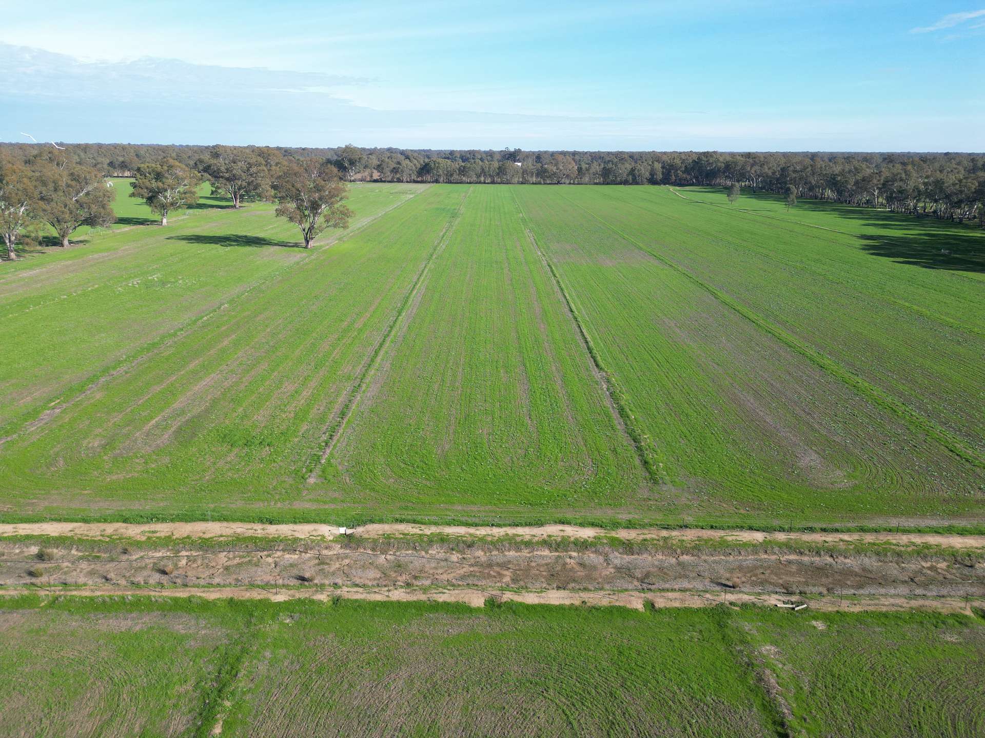52 Sheehan Rd, Koonoomoo For Sale by Farmbuy.com - image 35