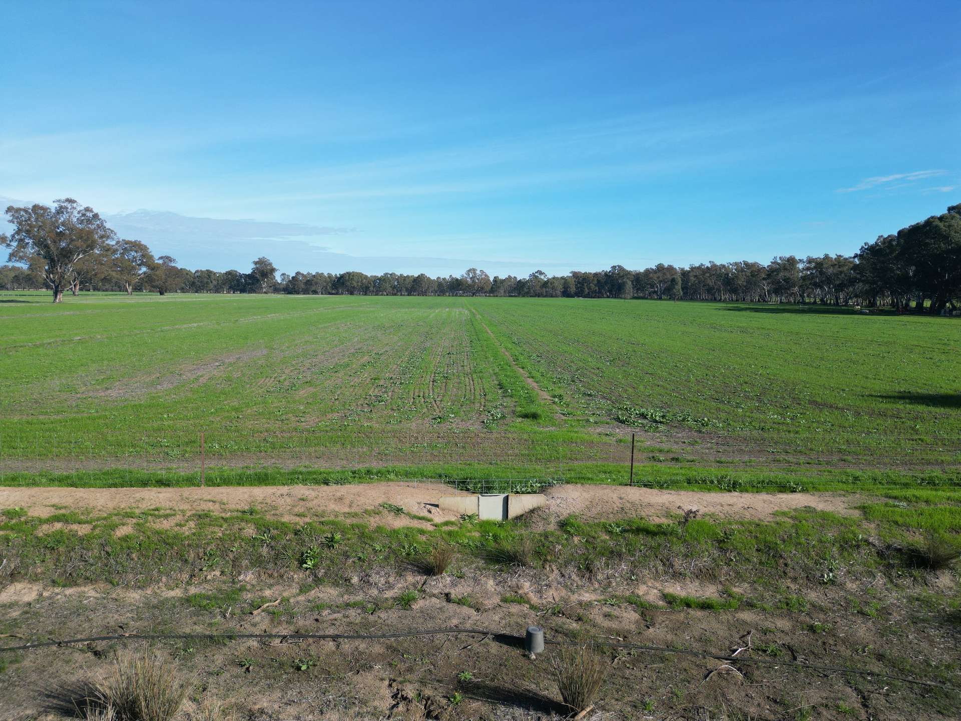 52 Sheehan Rd, Koonoomoo For Sale by Farmbuy.com - image 33