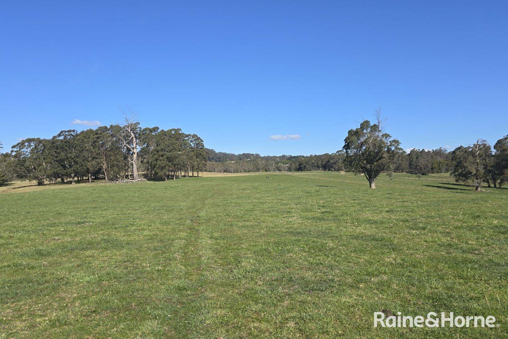 5442 Illawarra Highway, Burrawang Sold by Farmbuy.com - image 27