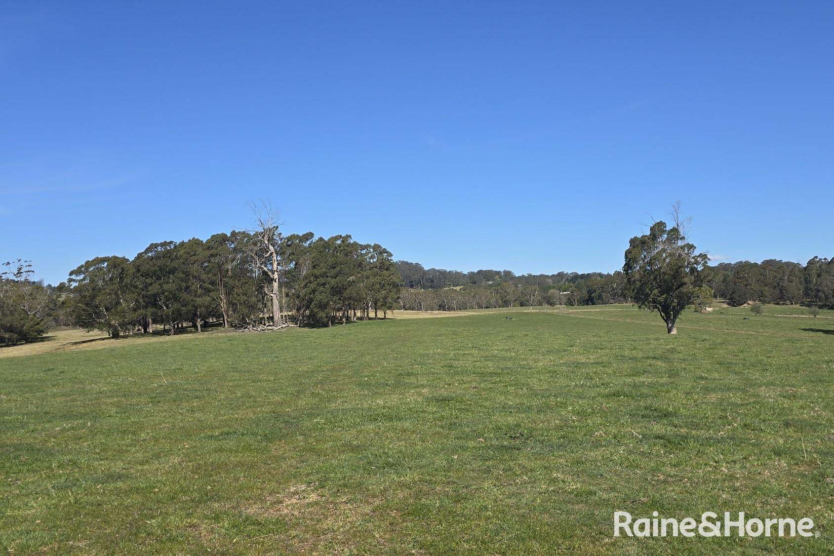 5442 Illawarra Highway, Burrawang Sold by Farmbuy.com - image 16
