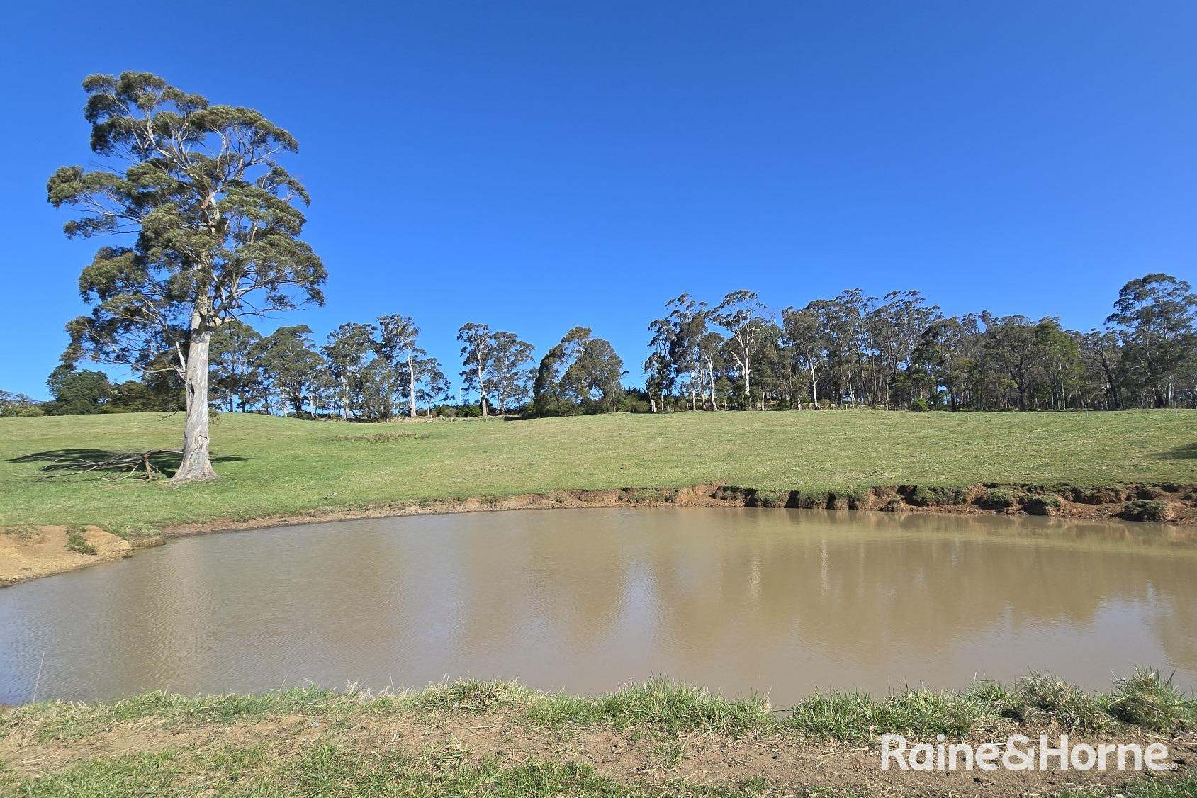 5442 Illawarra Highway, Burrawang Sold by Farmbuy.com - image 35