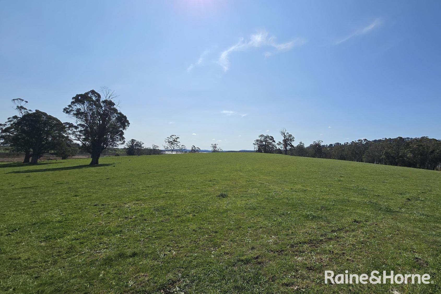 5442 Illawarra Highway, Burrawang Sold by Farmbuy.com - image 4