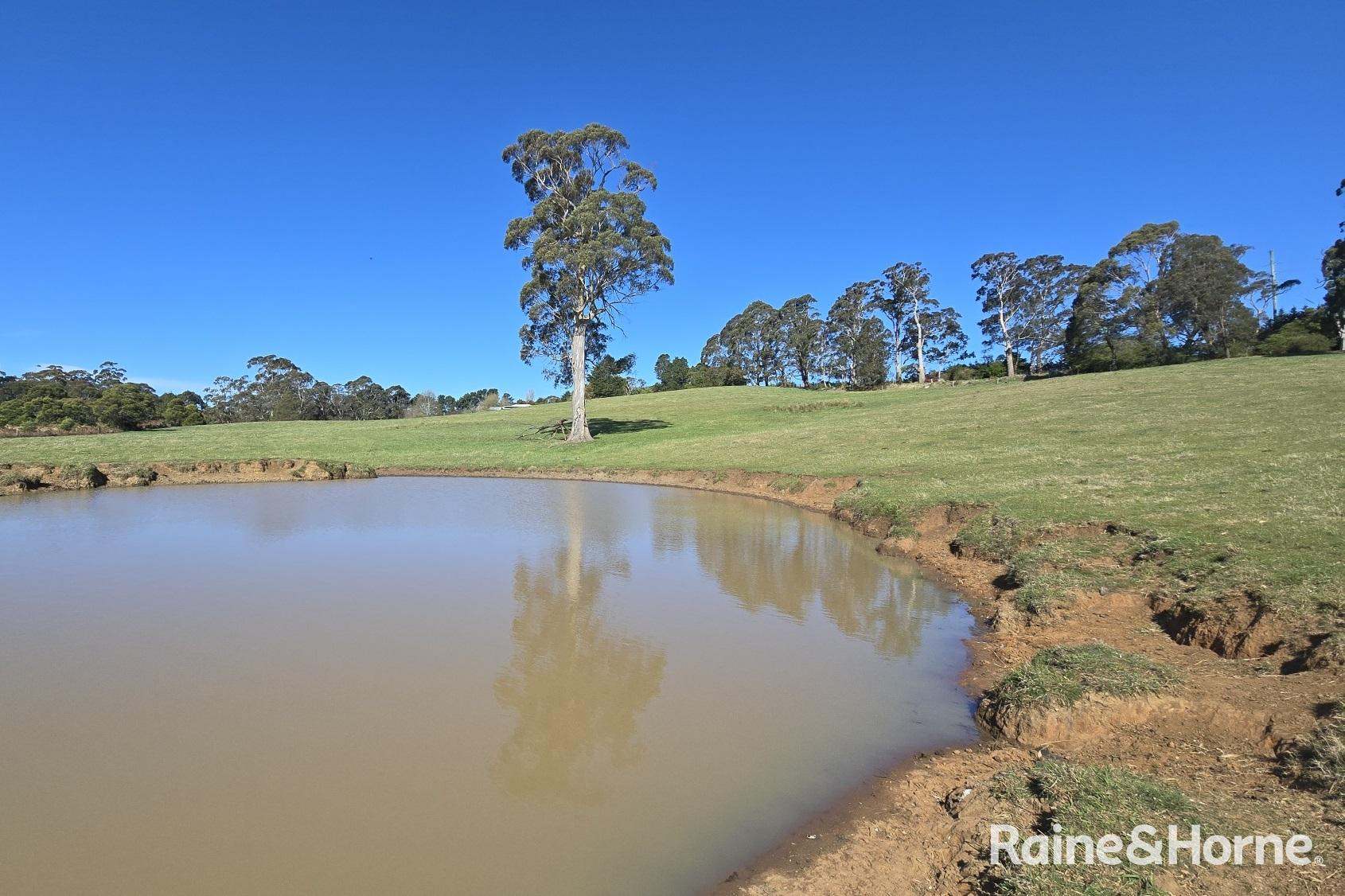 5442 Illawarra Highway, Burrawang Sold by Farmbuy.com - image 24