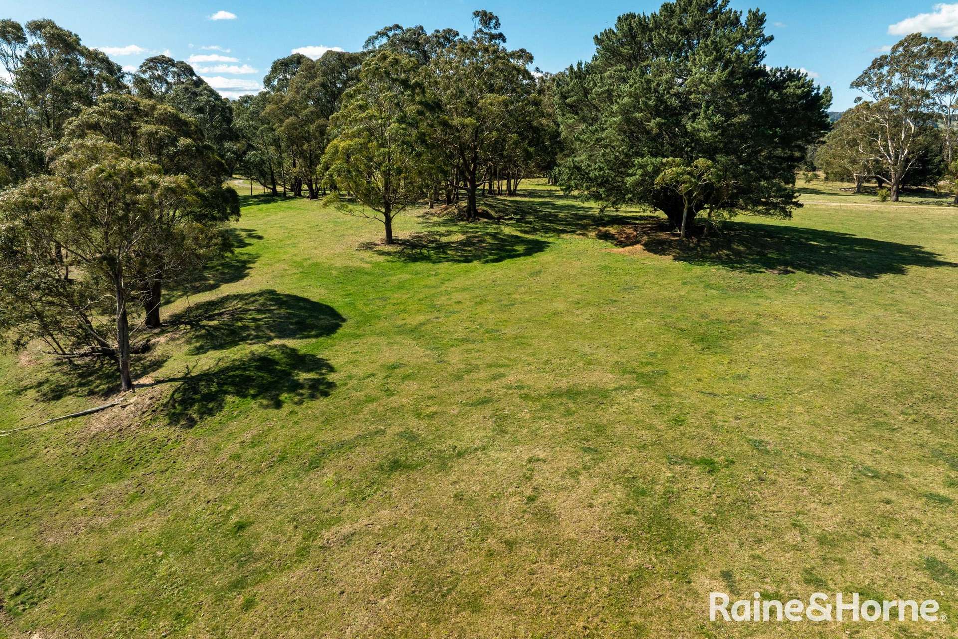 5442 Illawarra Highway, Burrawang Sold by Farmbuy.com - image 3