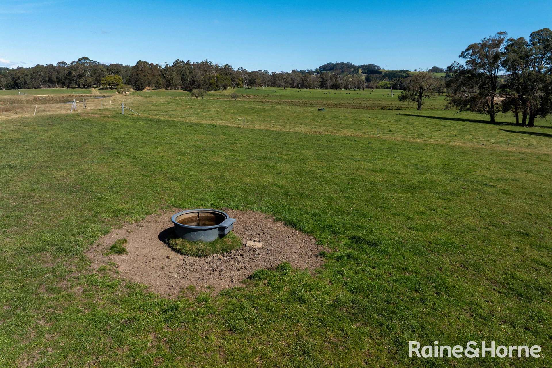 5442 Illawarra Highway, Burrawang Sold by Farmbuy.com - image 25