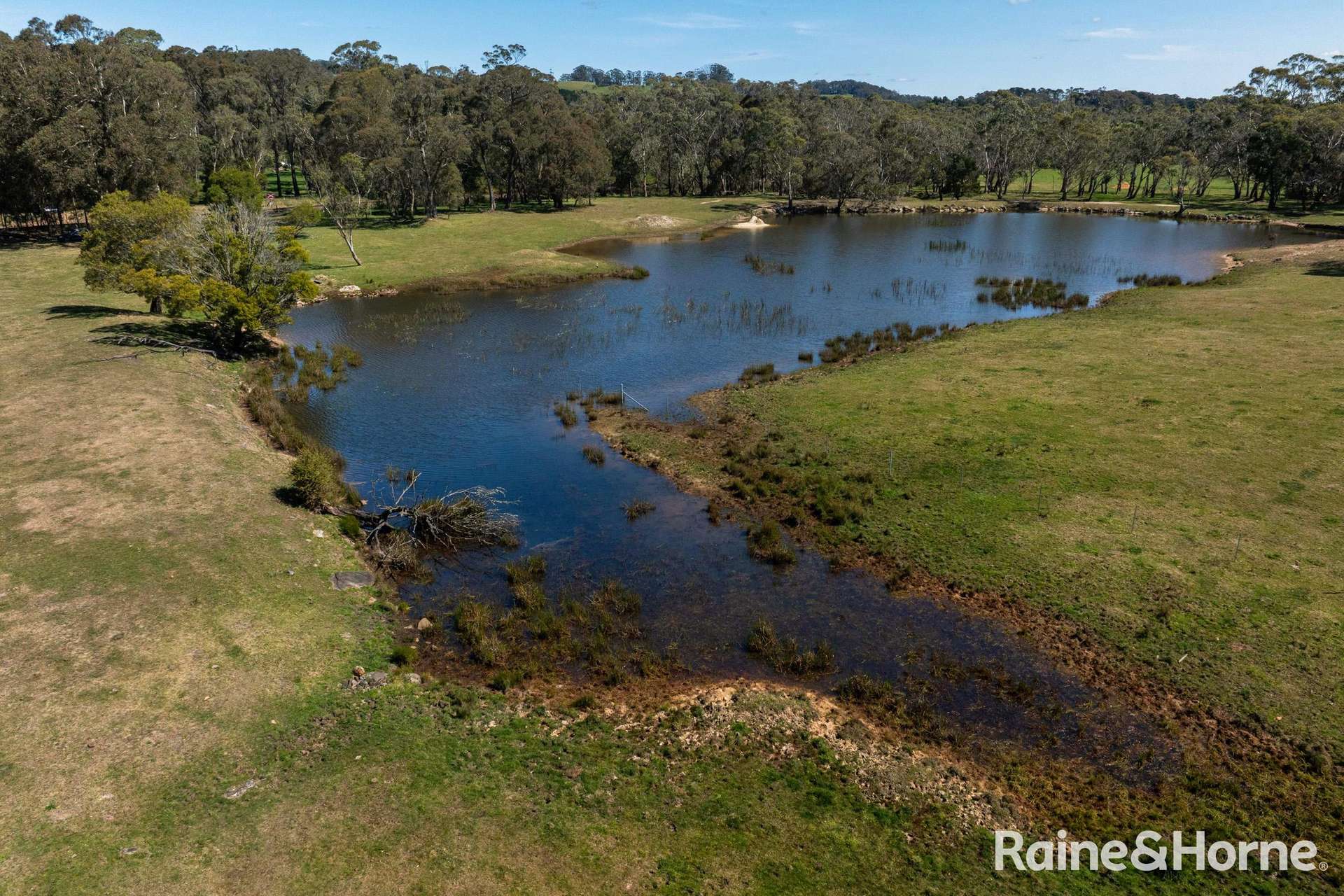 5442 Illawarra Highway, Burrawang Sold by Farmbuy.com - image 7