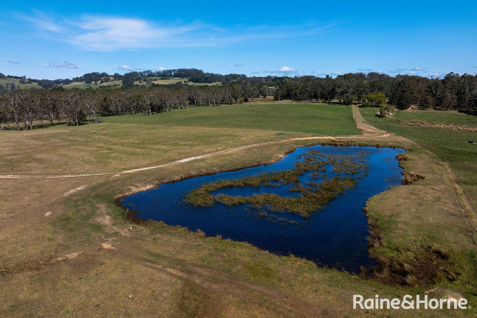 5442 Illawarra Highway, Burrawang Sold by Farmbuy.com - image 34