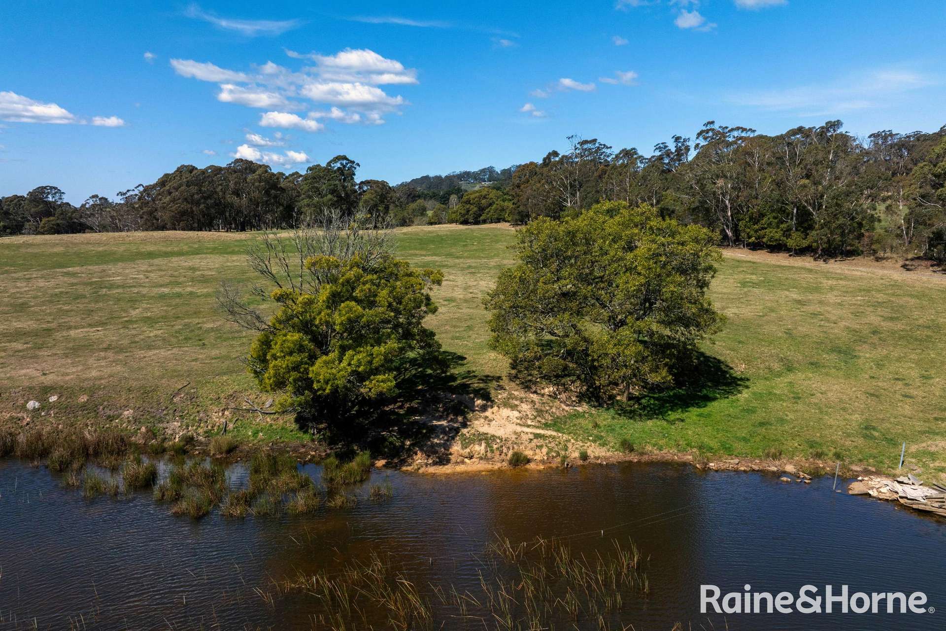 5442 Illawarra Highway, Burrawang Sold by Farmbuy.com - image 14