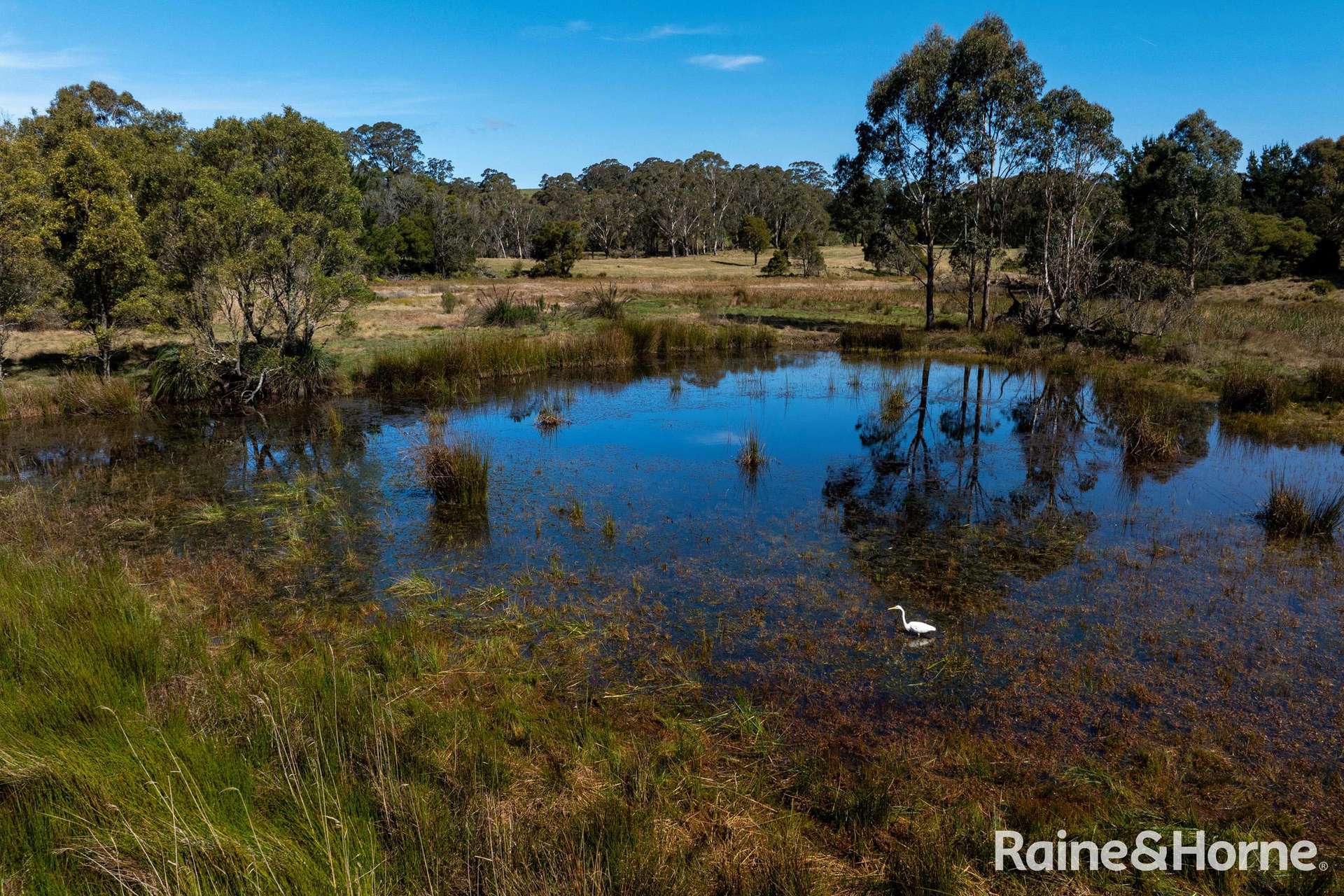 5442 Illawarra Highway, Burrawang Sold by Farmbuy.com - image 23
