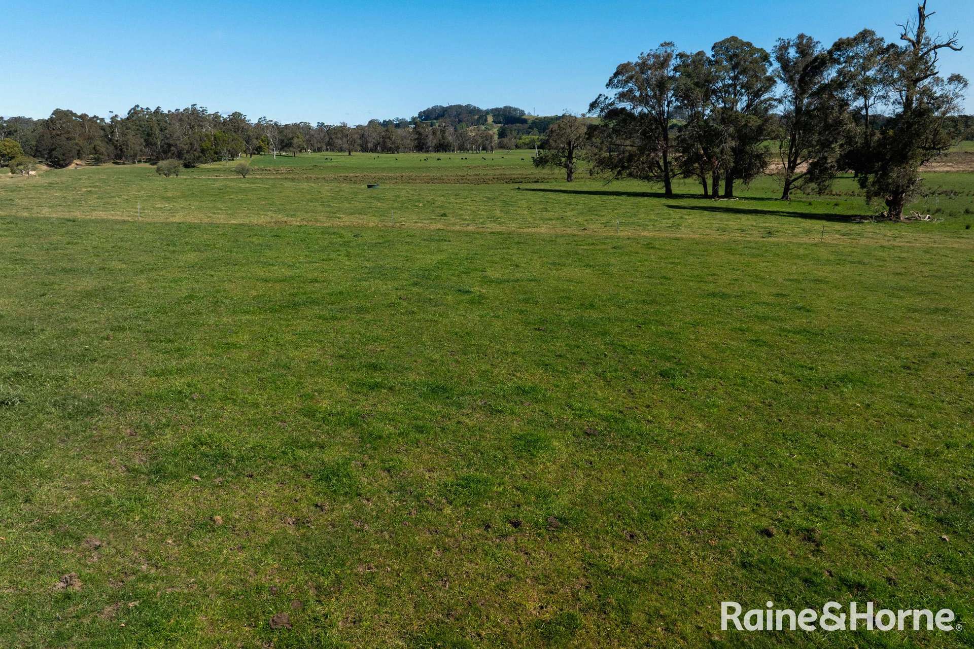 5442 Illawarra Highway, Burrawang Sold by Farmbuy.com - image 6