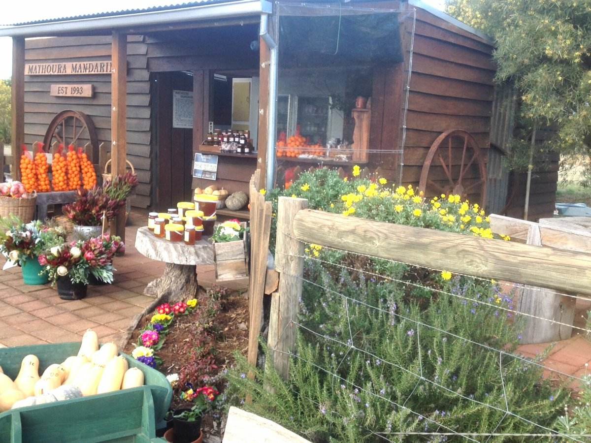 18 Clifton Street East, Mathoura For Sale by Farmbuy.com - image 24