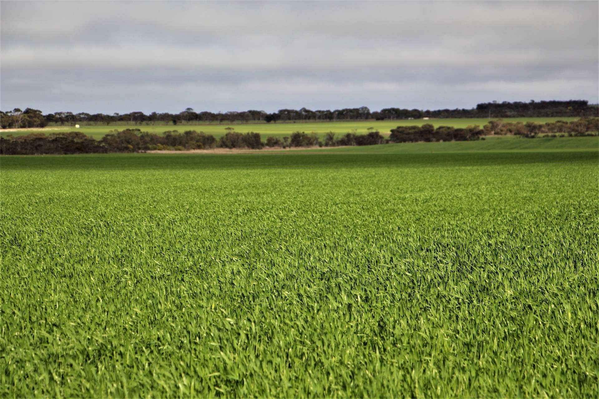31541 South Coast Highway, Jerramungup For Sale by Farmbuy.com - image 31
