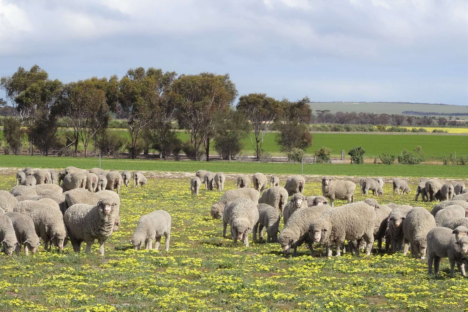 31541 South Coast Highway, Jerramungup For Sale by Farmbuy.com - image 18