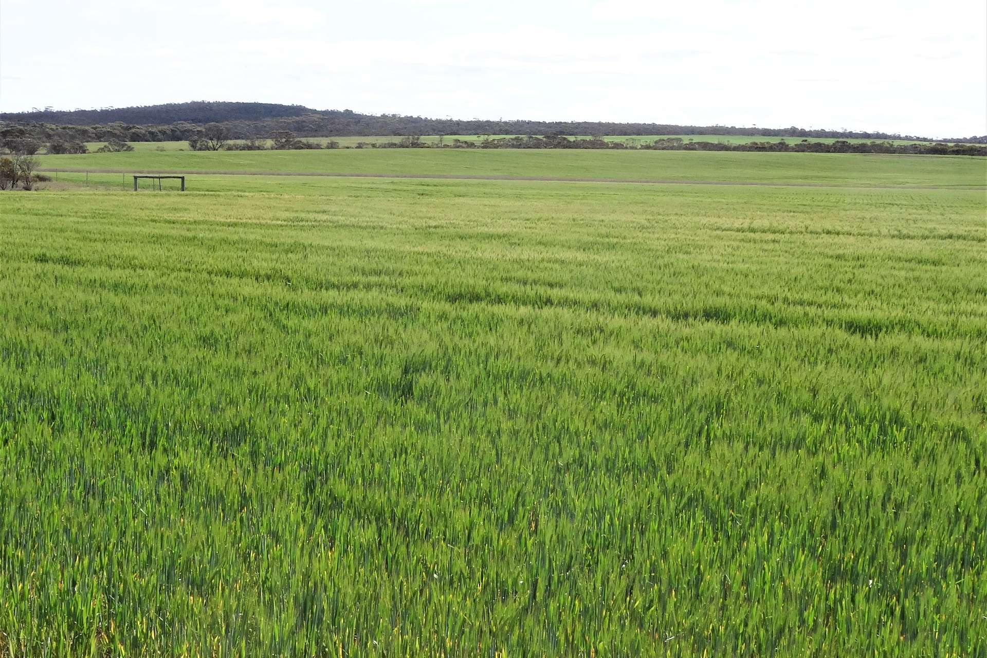 31541 South Coast Highway, Jerramungup For Sale by Farmbuy.com - image 32