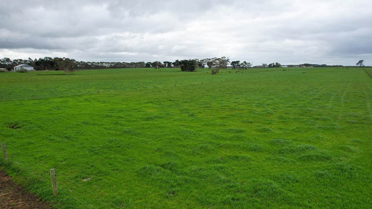 Lot 3 Hughs Road, Wangoom For Sale by Farmbuy.com - image 3