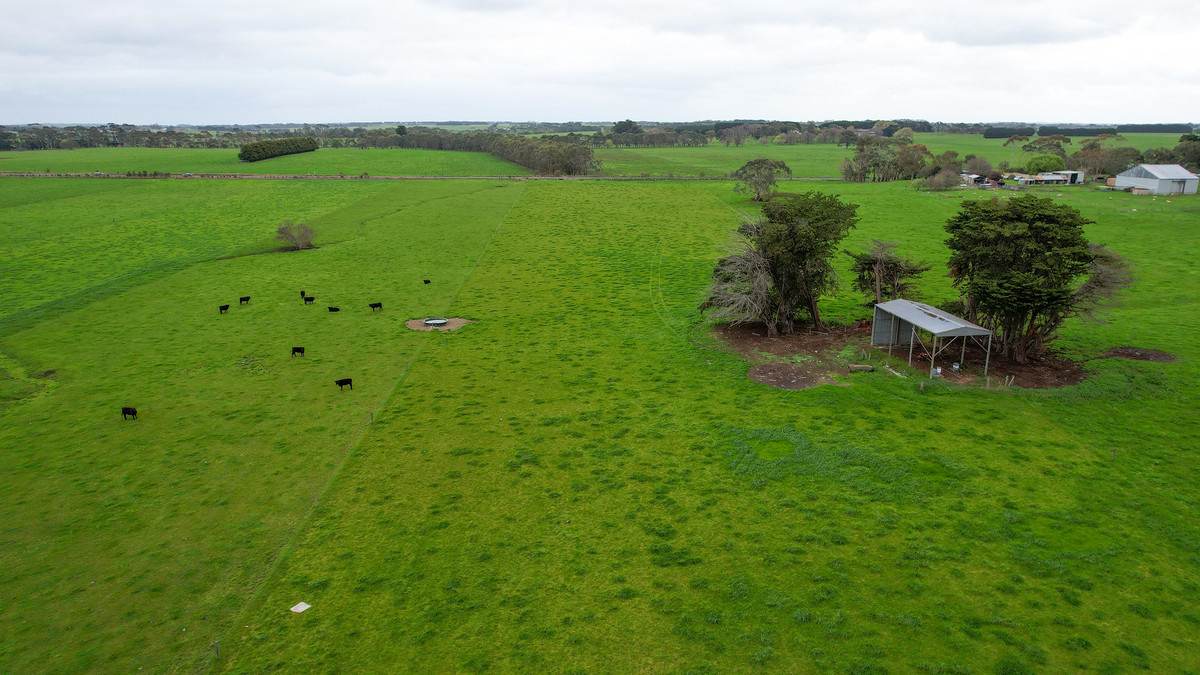 Lot 3 Hughs Road, Wangoom For Sale by Farmbuy.com - image 9